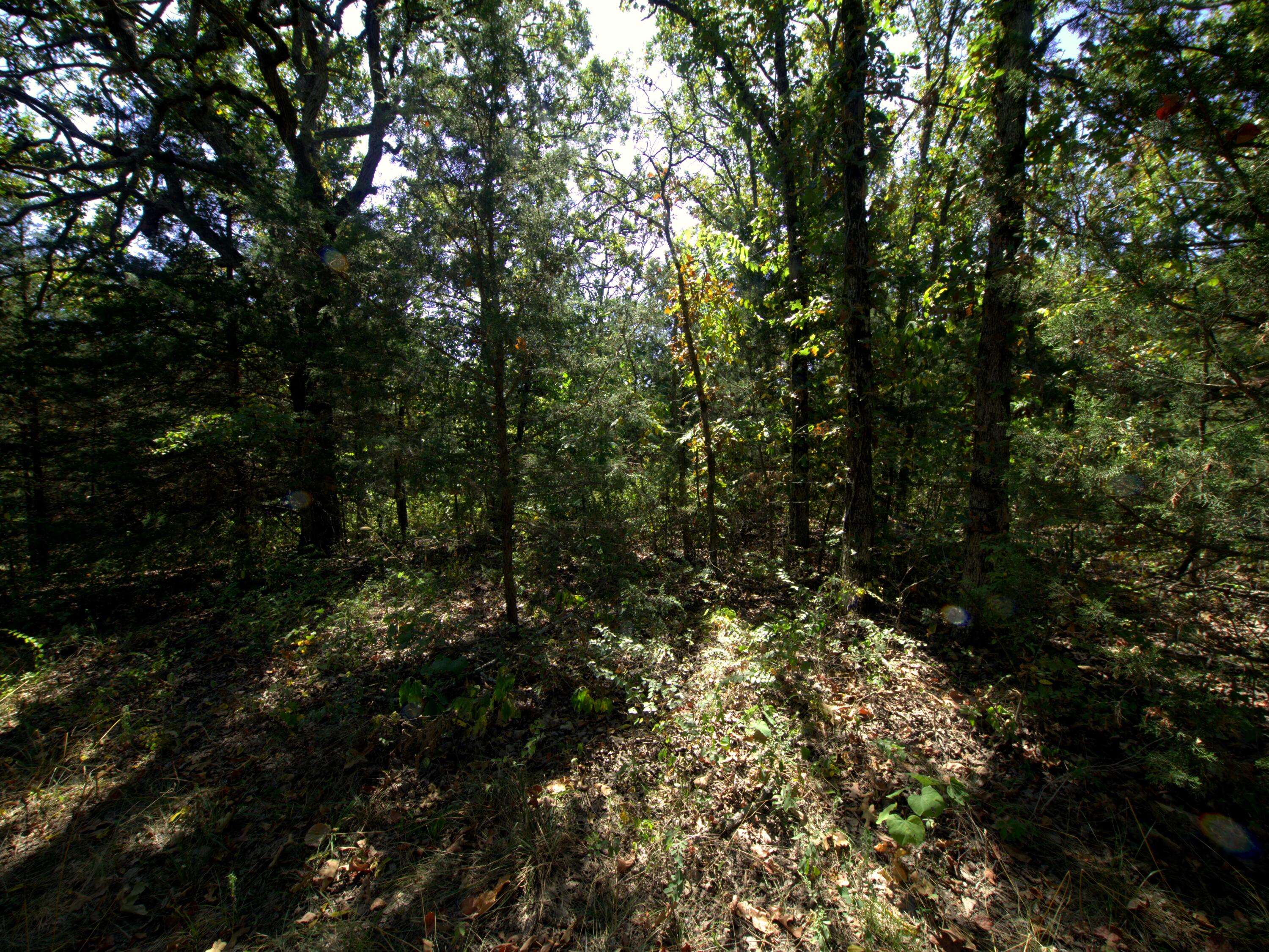 Tract 1 Simpson RD, Urbana, MO 65767