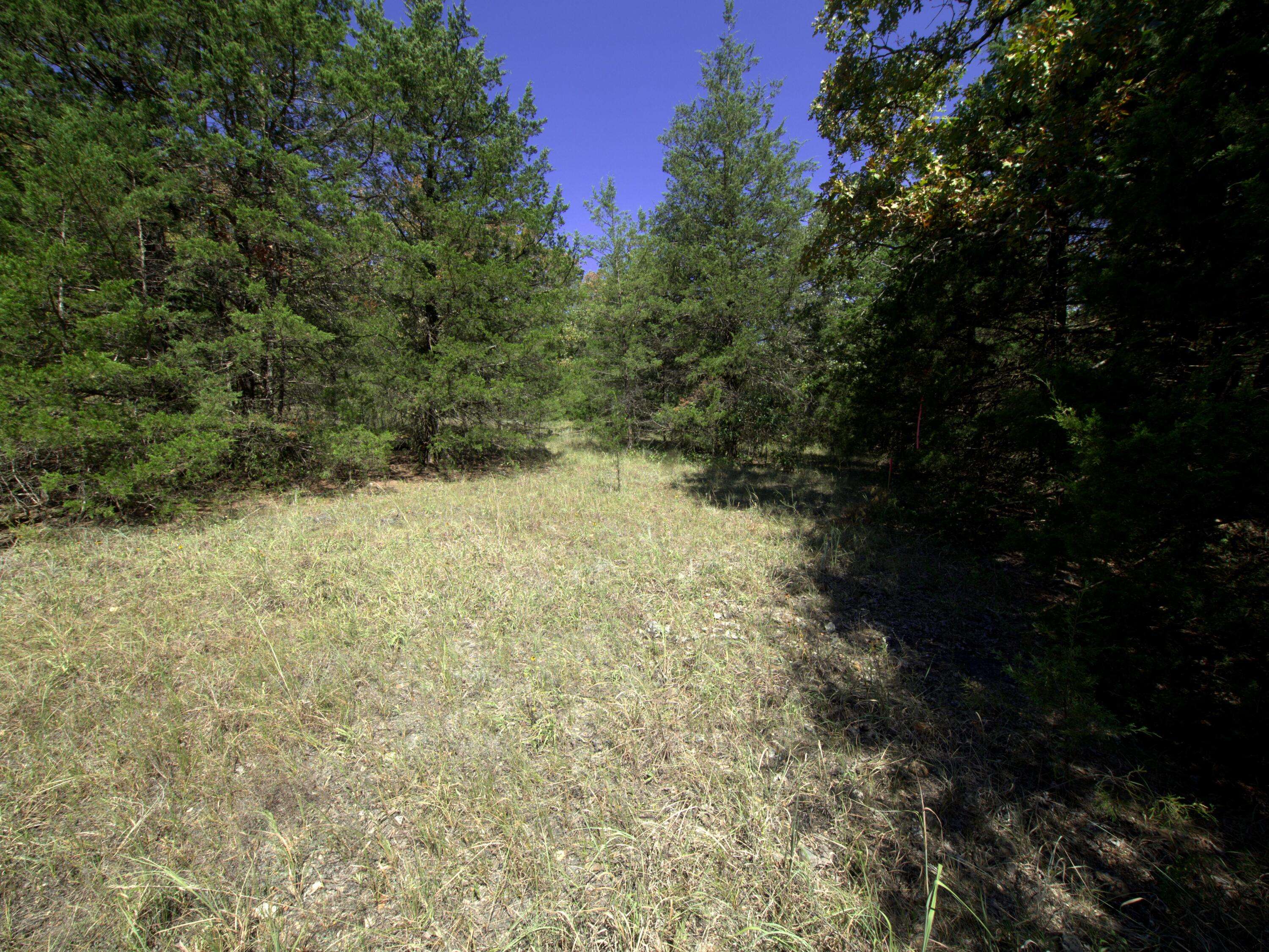 Tract 2 Simpson Rd, Urbana, MO 65767