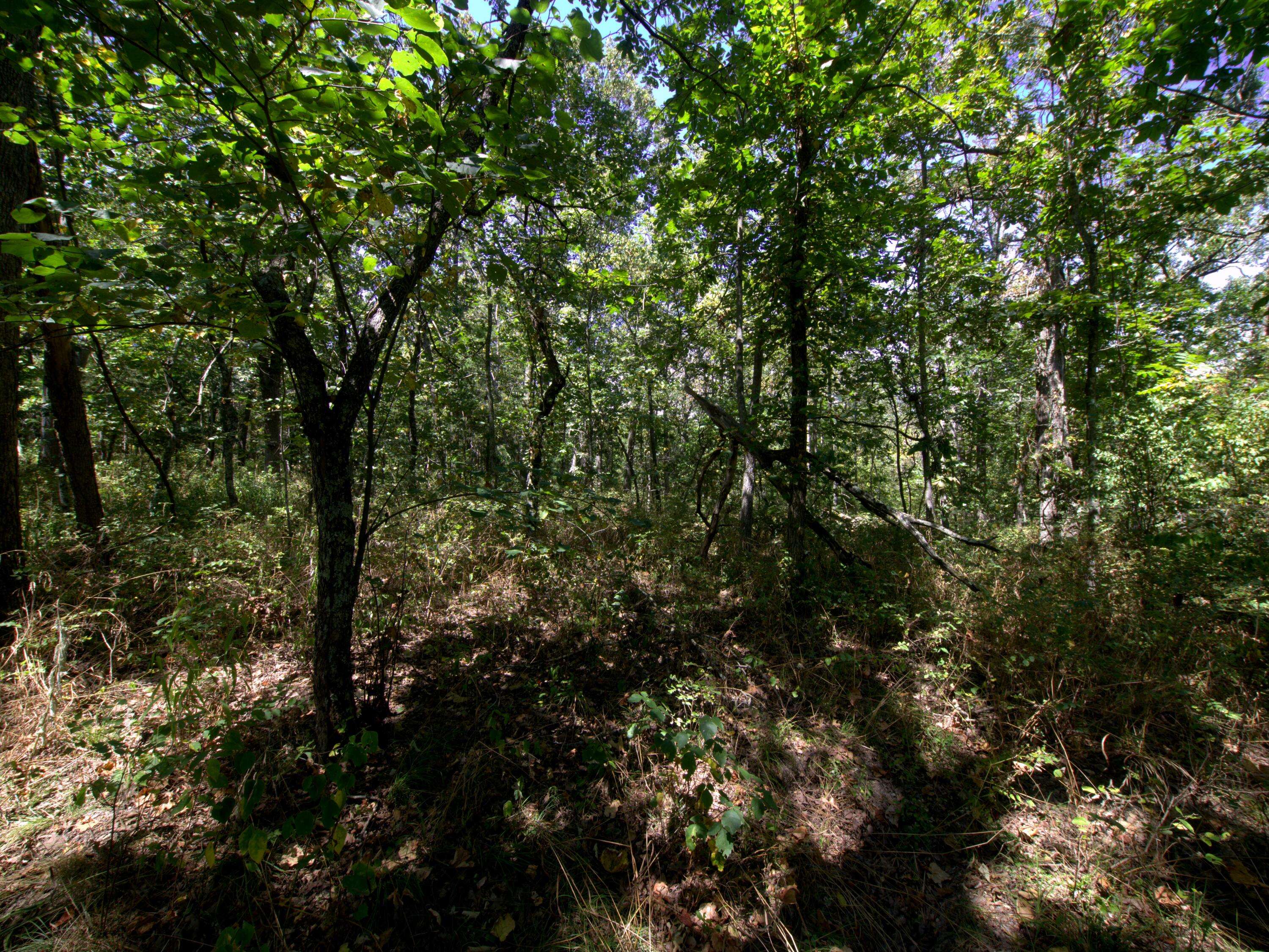 Tract 3 Simpson Rd, Urbana, MO 65767