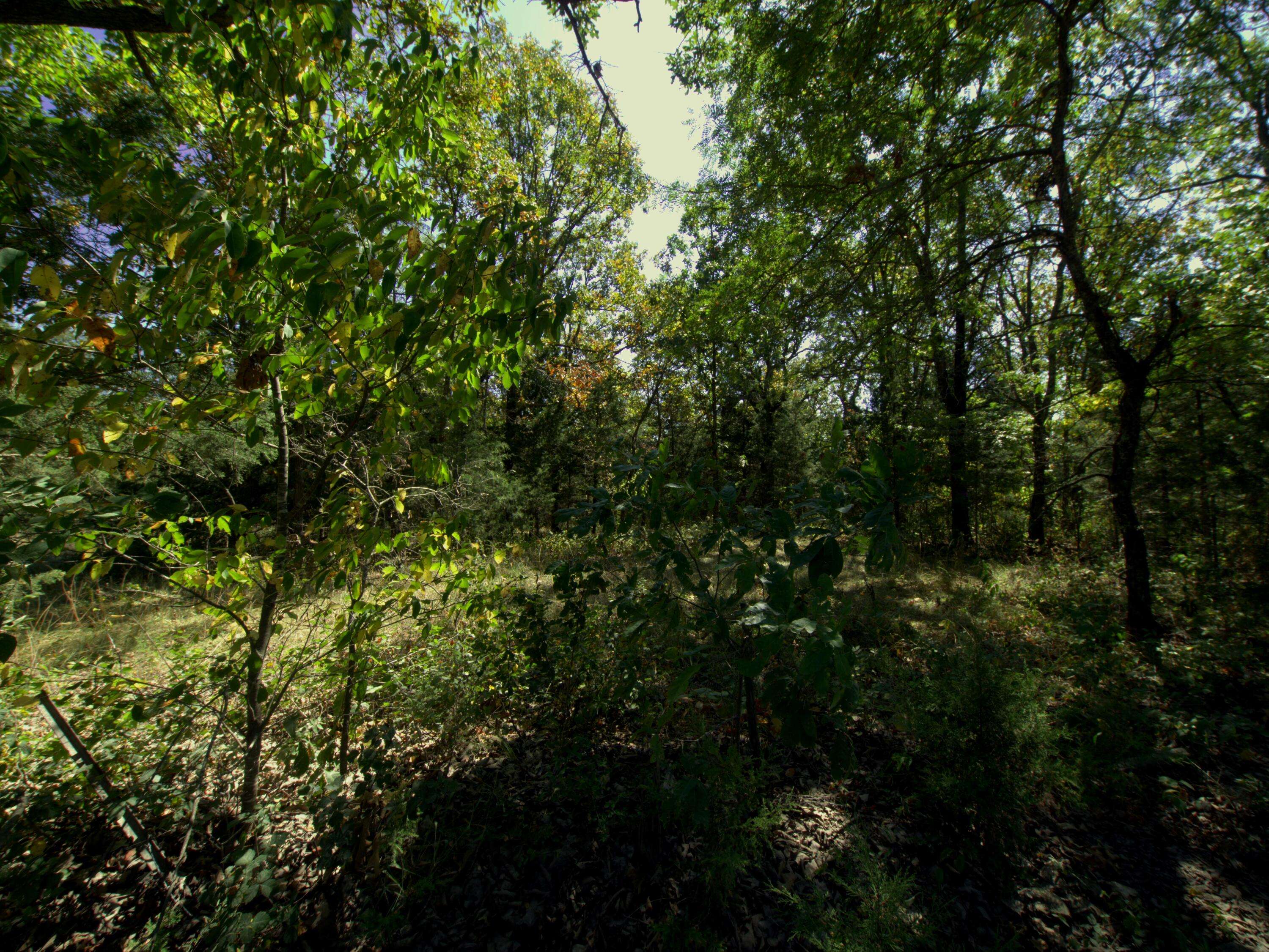Tract 1&2 Simpson Rd, Urbana, MO 65767