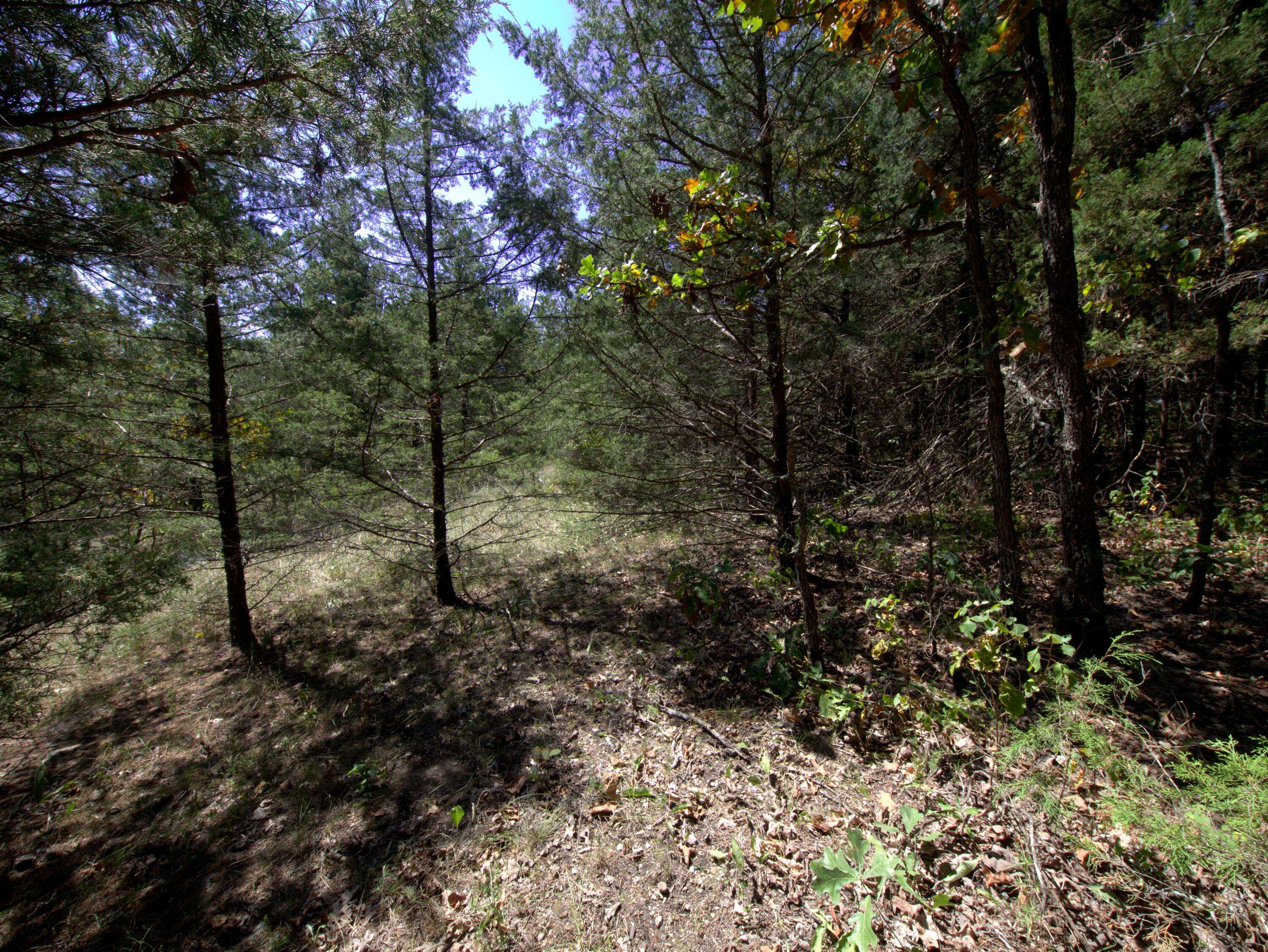 Tract 2&3 Simpson Rd, Urbana, MO 65767