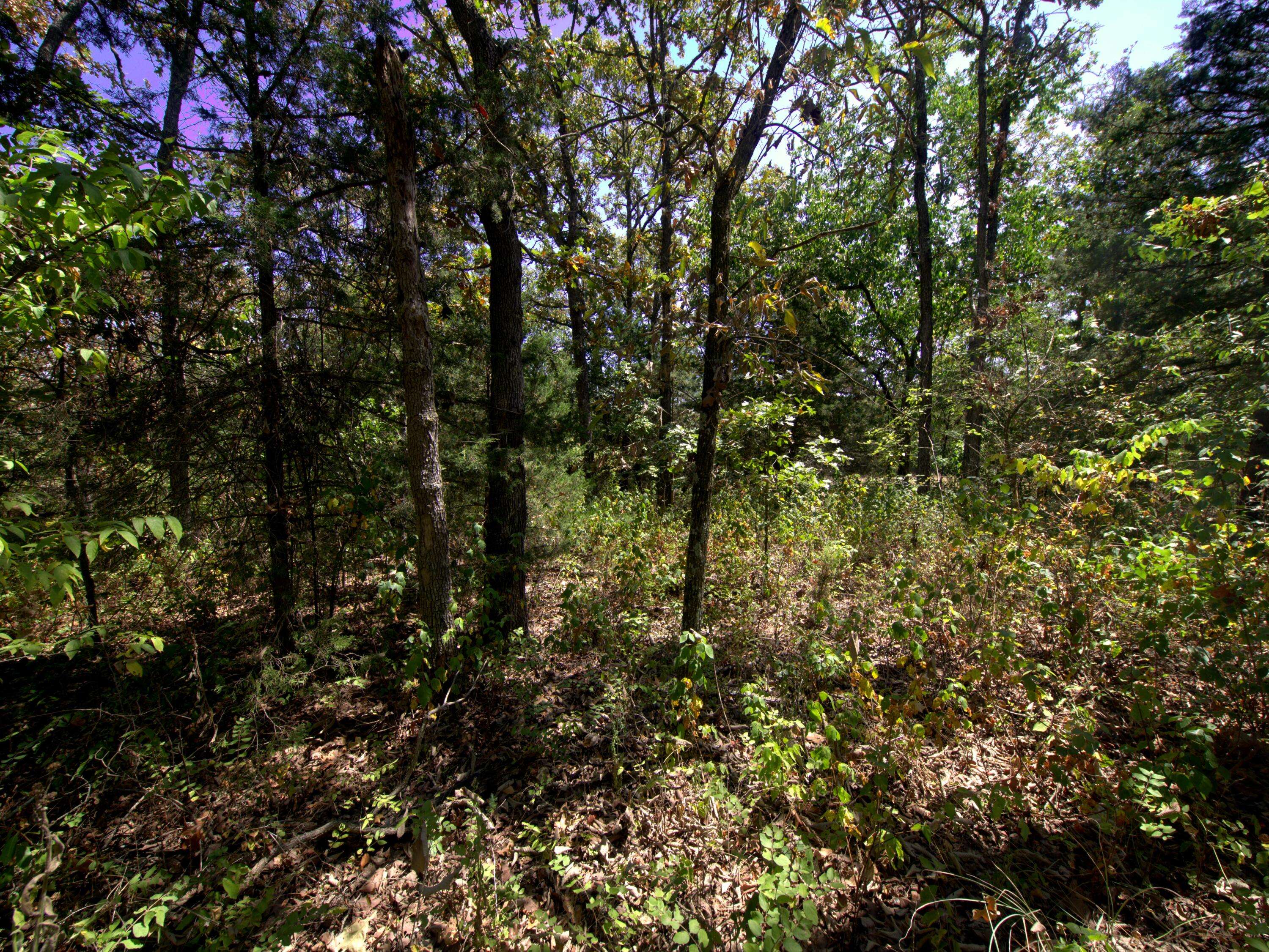 Tract 2-4 Simpson Rd, Urbana, MO 65767