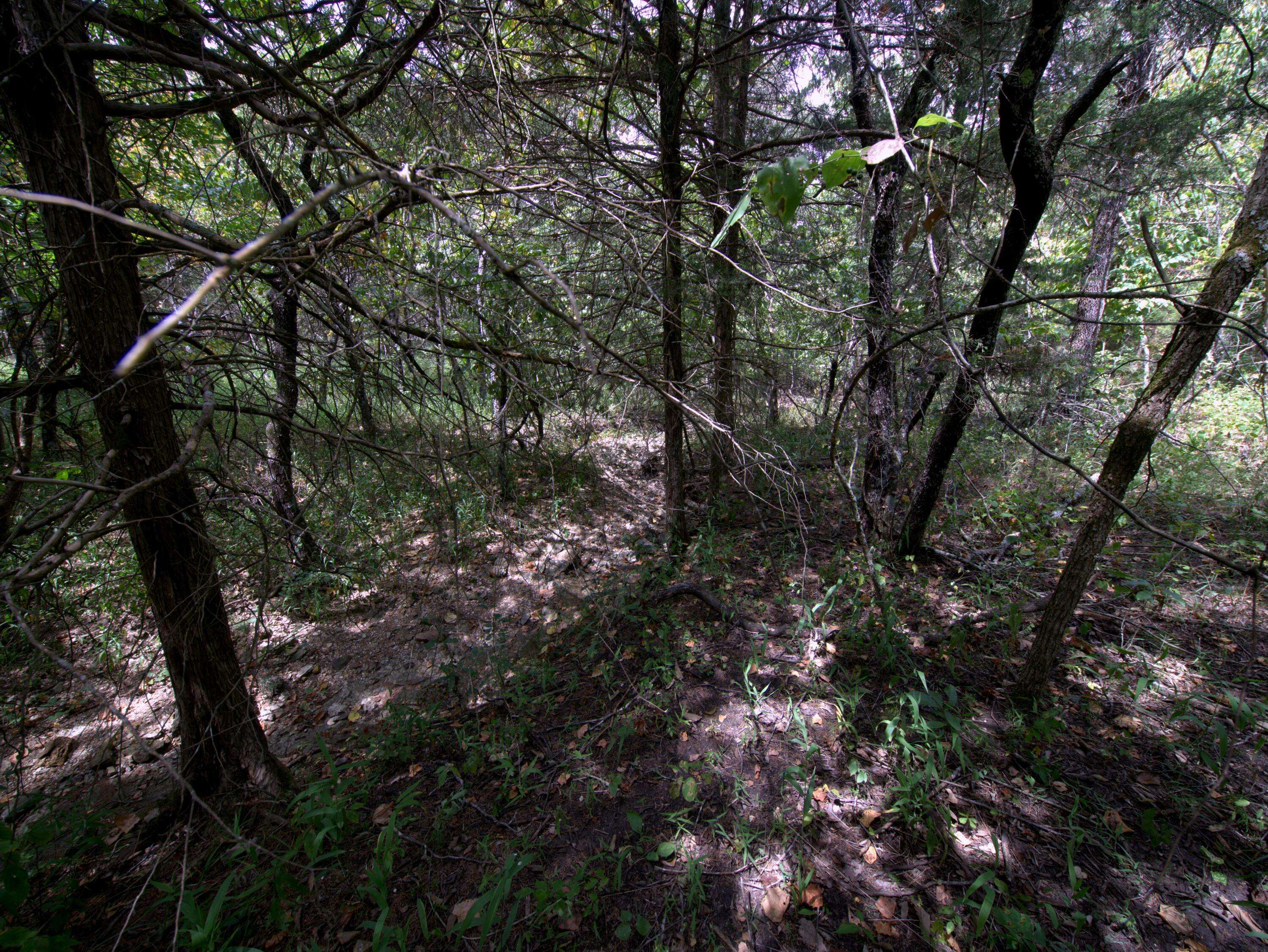 Tract 2-4 Simpson Rd, Urbana, MO 65767