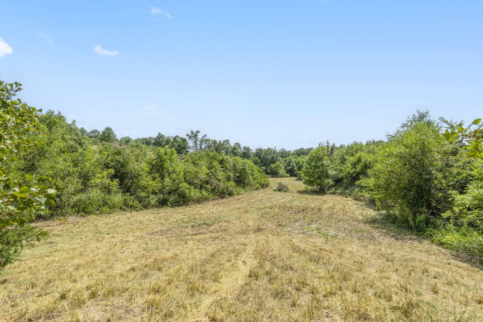 Tbd Swinson DR, Galena, MO 65656