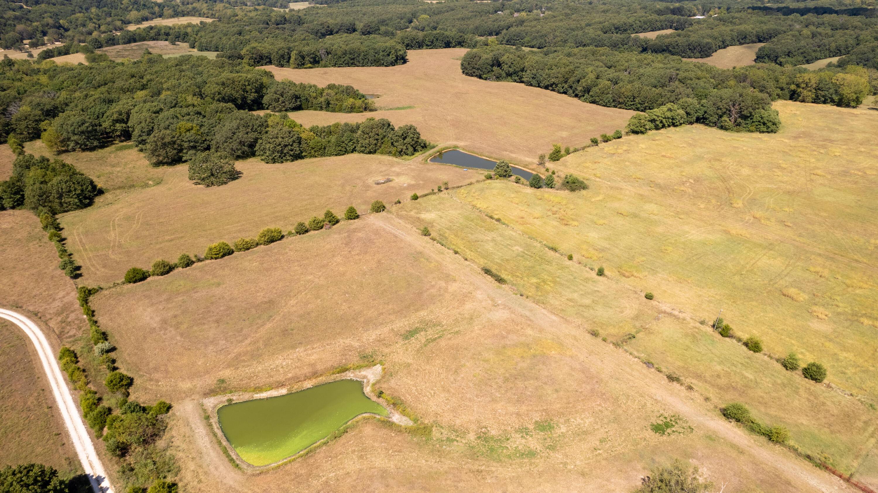 000 Little Creek DR, Fordland, MO 65652