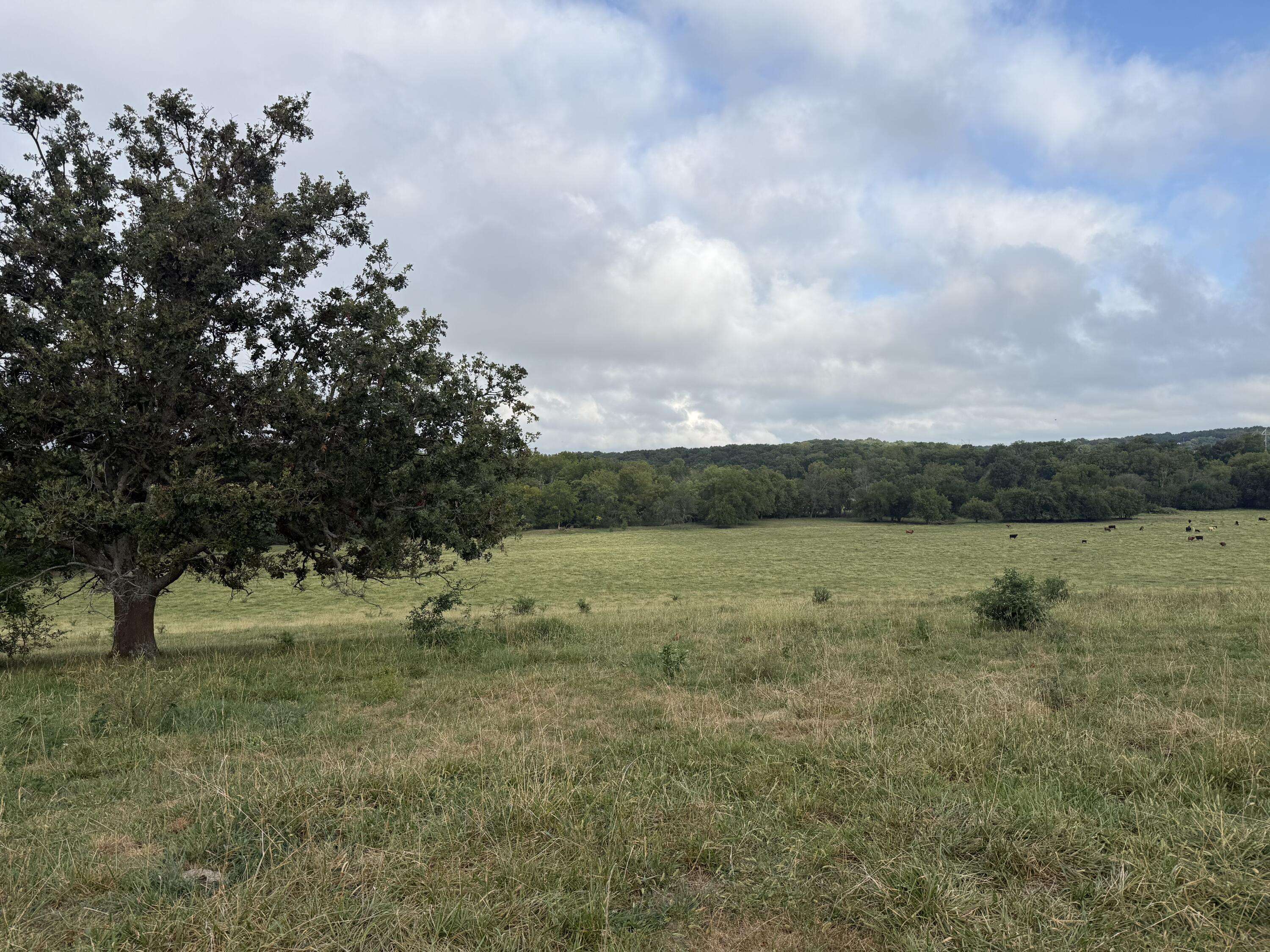 Tract 2 S Farm Road 55, Republic, MO 65738