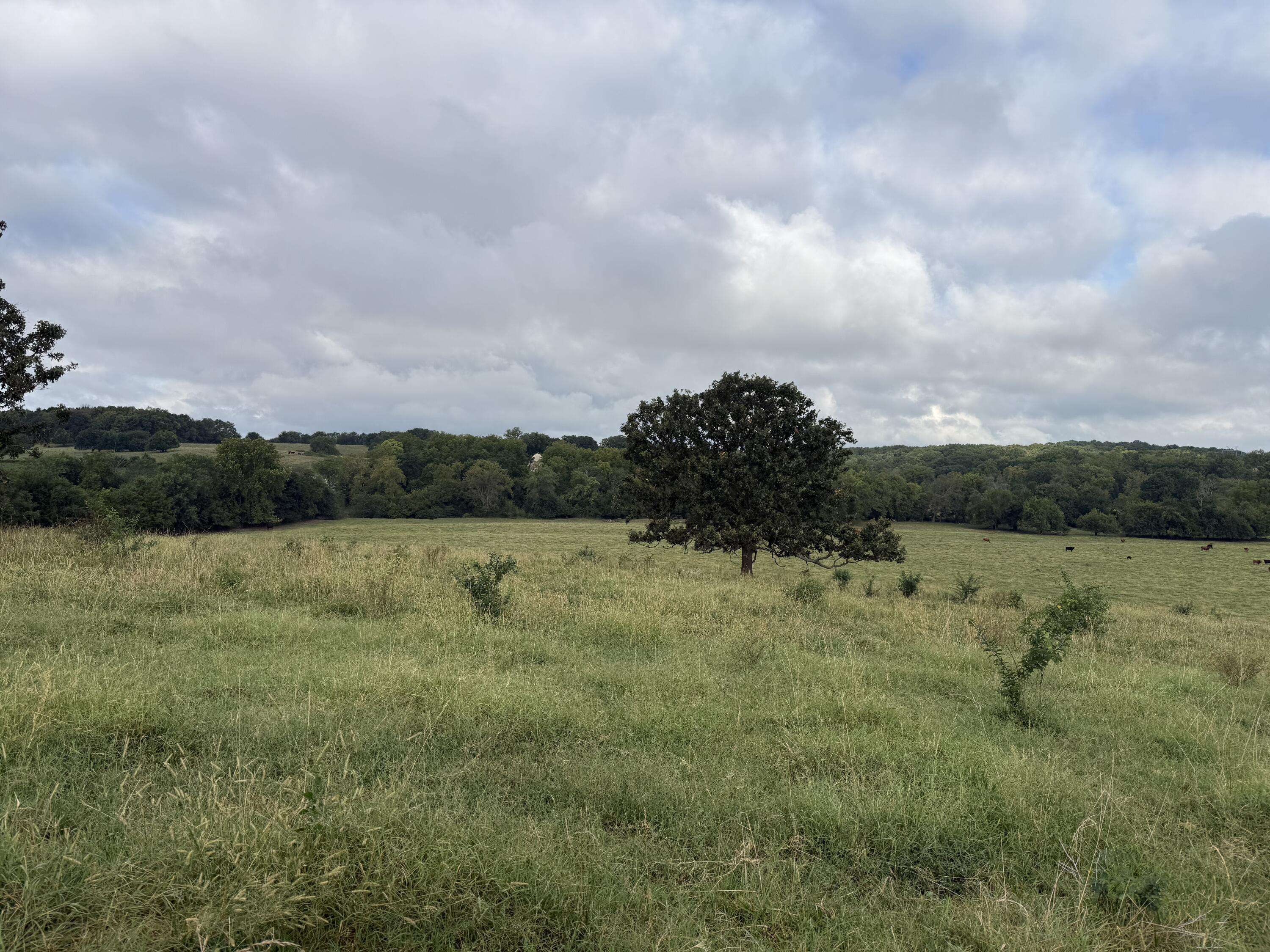 Tract 2 S Farm Road 55, Republic, MO 65738