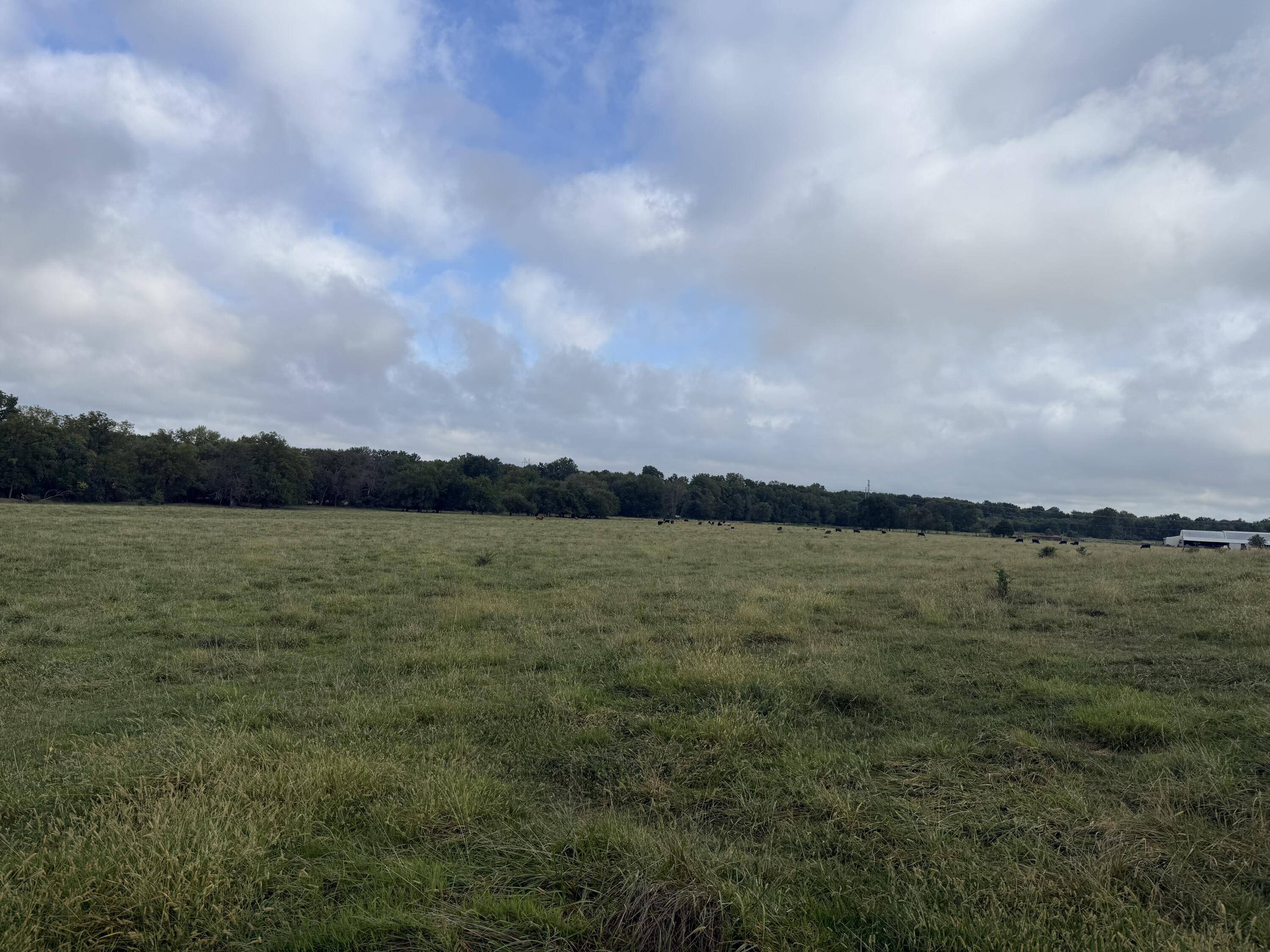 Tract 2 S Farm Road 55, Republic, MO 65738