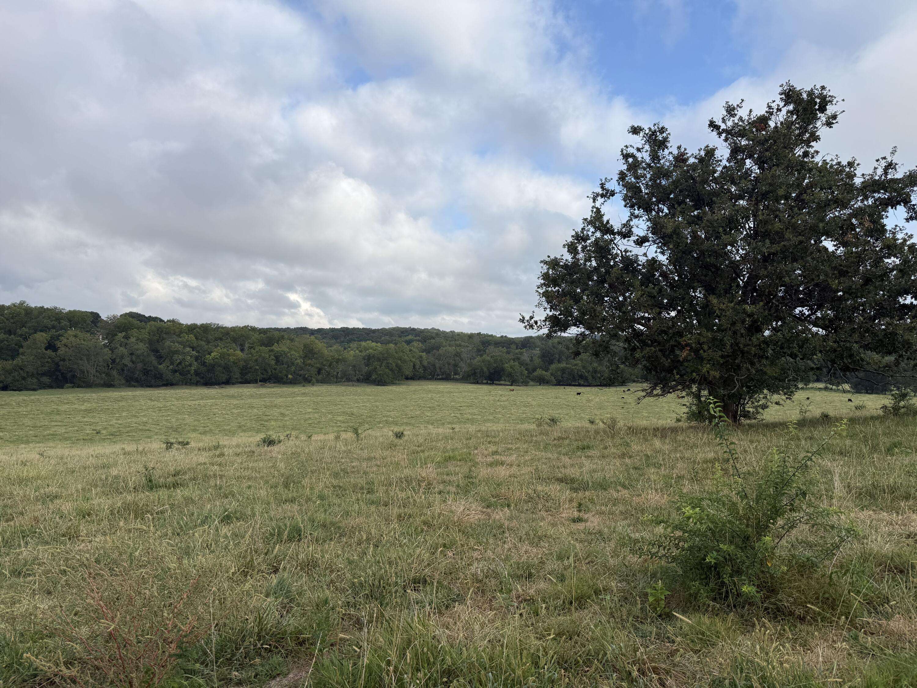 Tract 3 S Farm Road 55, Republic, MO 65738