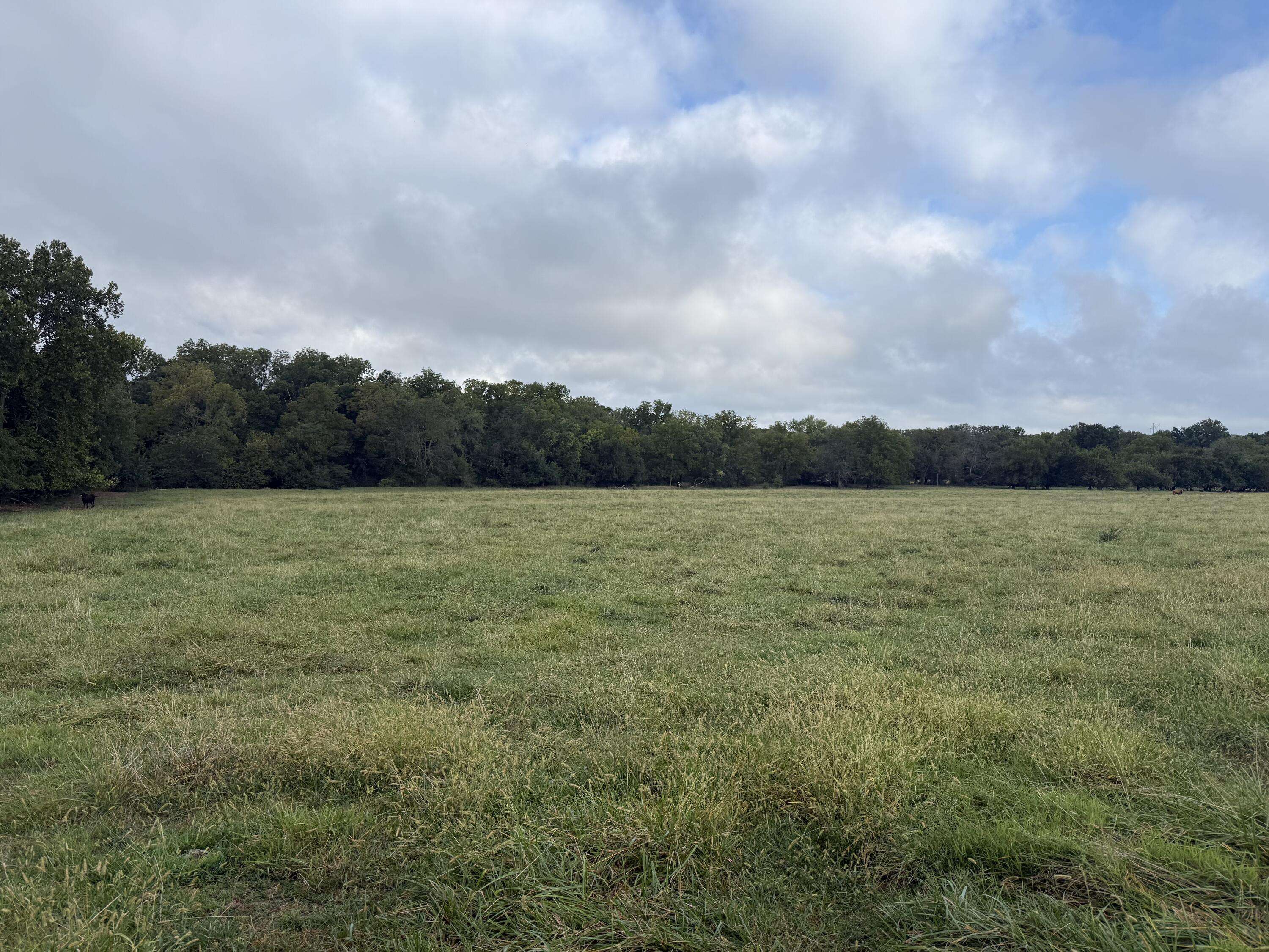 Tract 3 S Farm Road 55, Republic, MO 65738