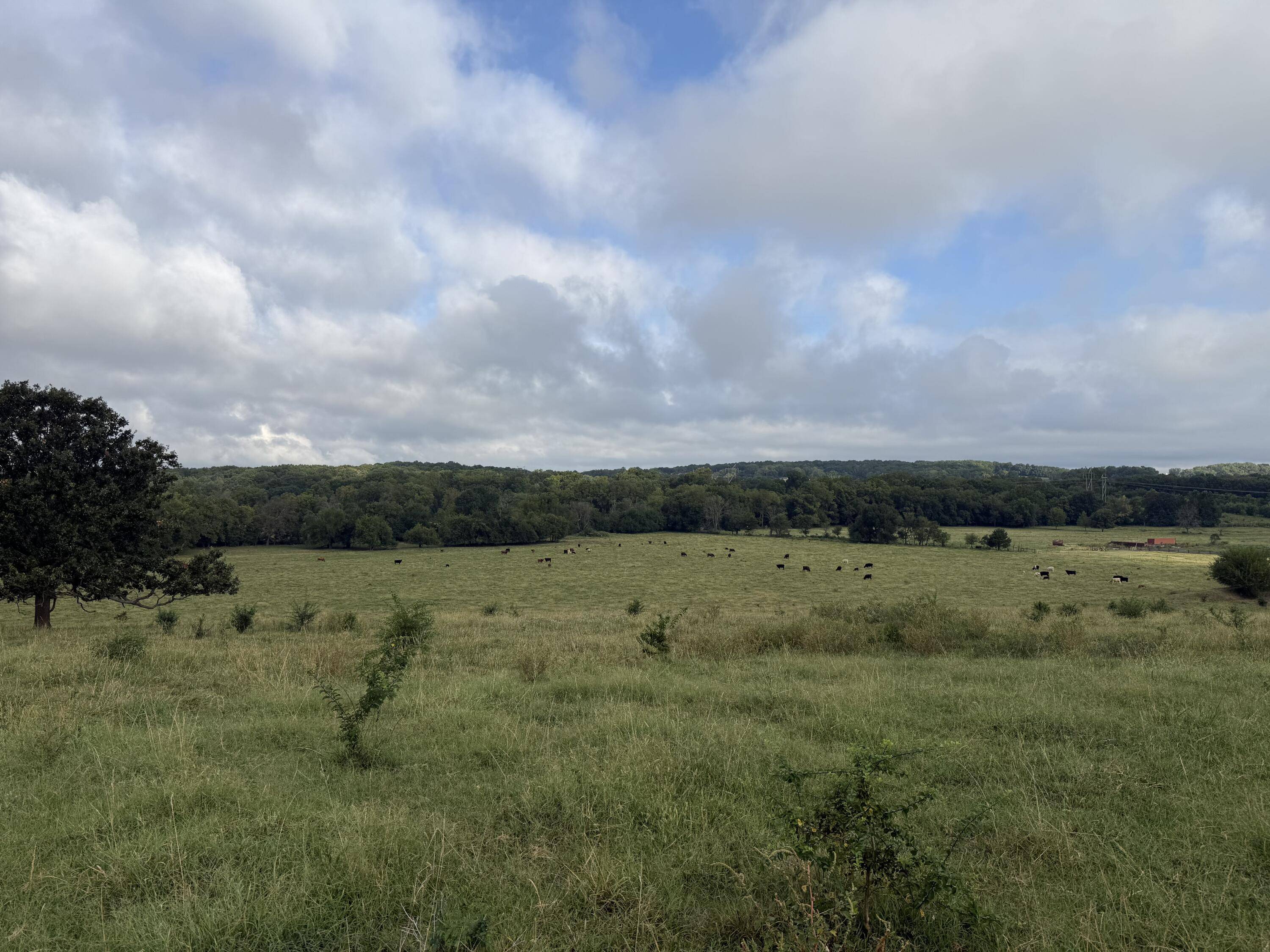 Tract 5 S Farm Road 55, Republic, MO 65738