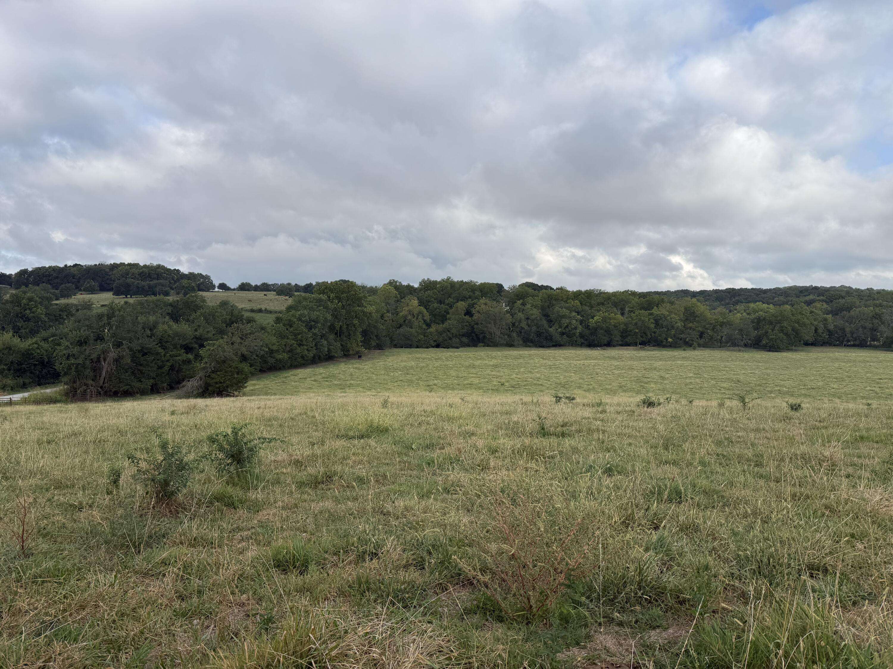 Tract 5 S Farm Road 55, Republic, MO 65738