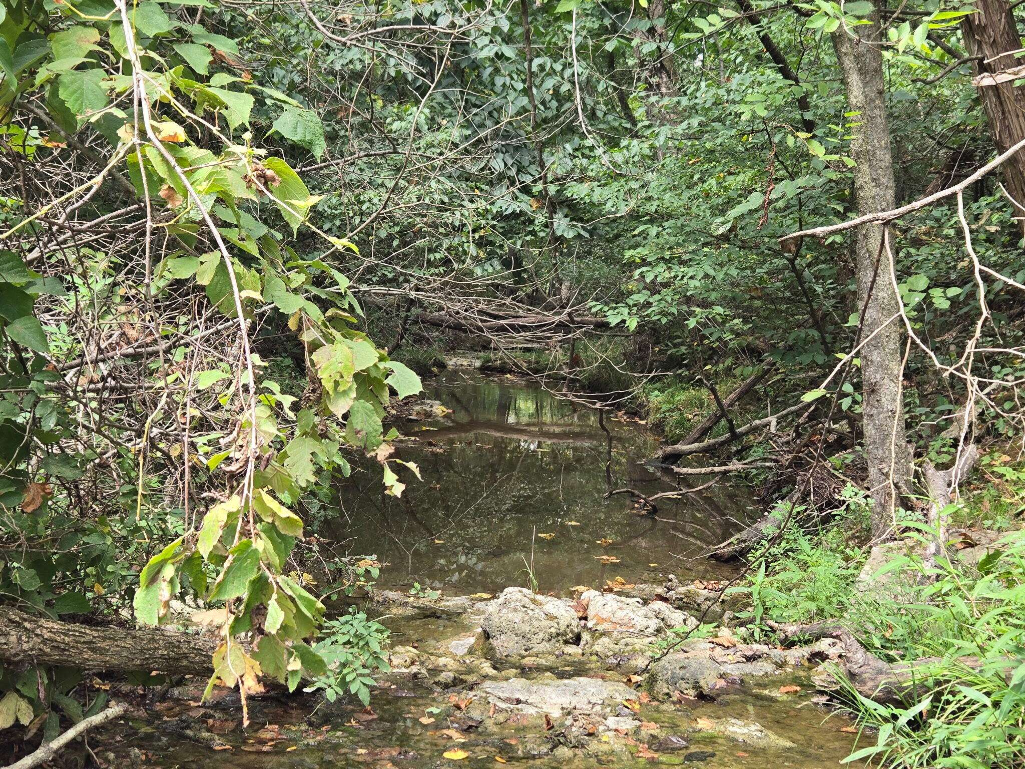 00 Hico RD, Long Lane, MO 65590