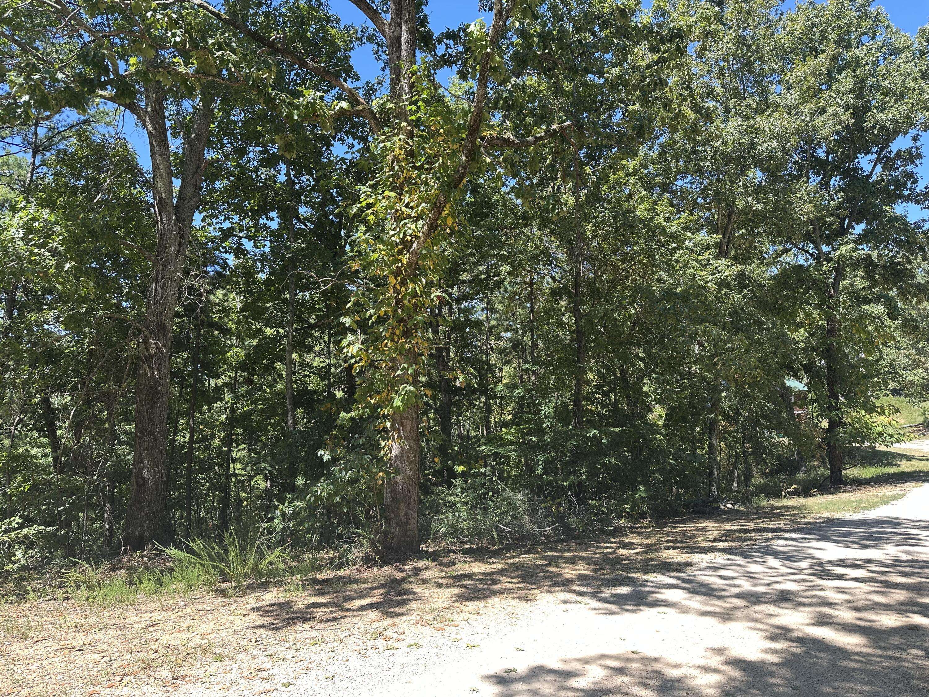 000 Payton Place DR, Van Buren, MO 63965