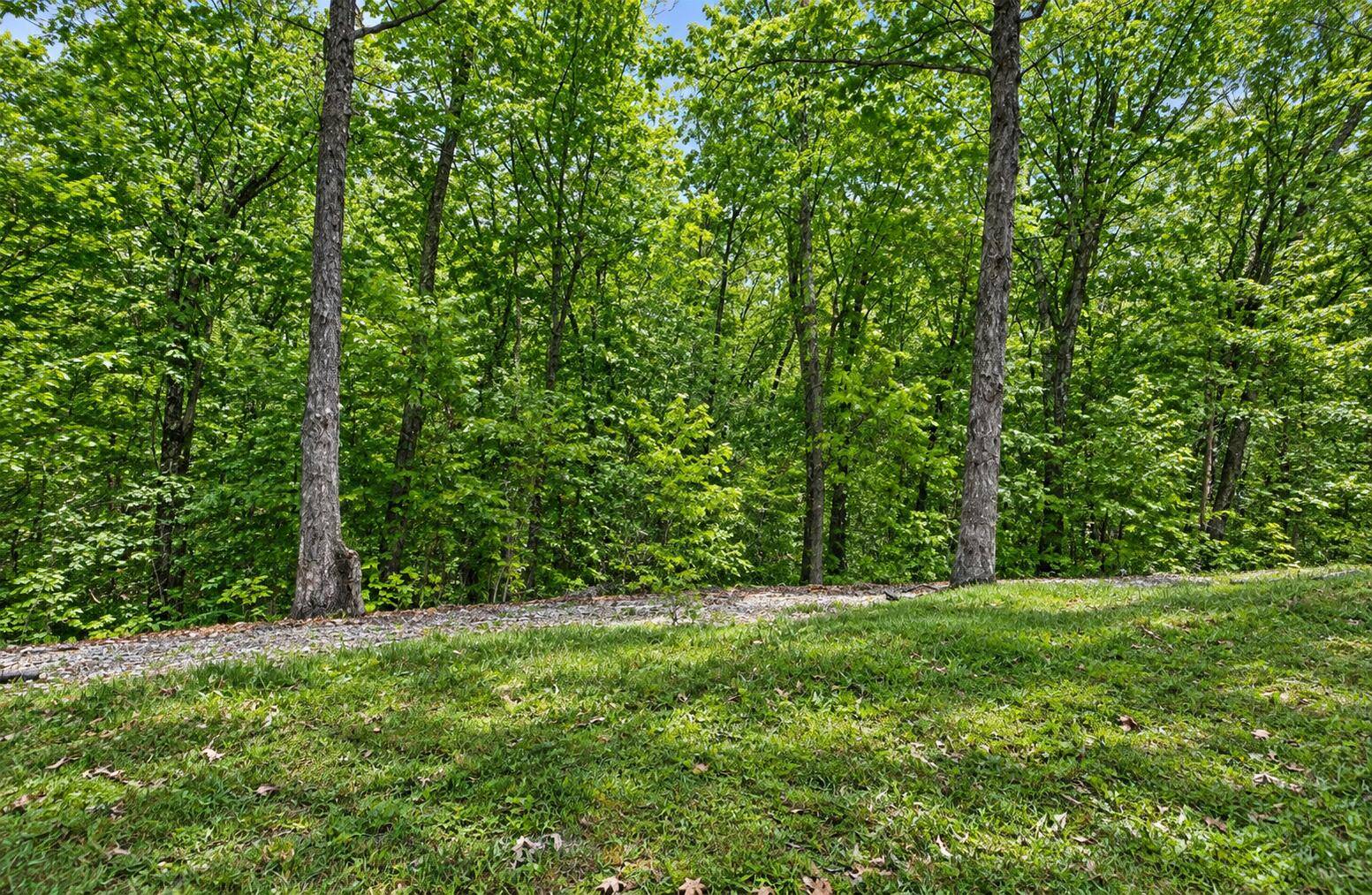 28 Bright DR, Branson West, MO 65737