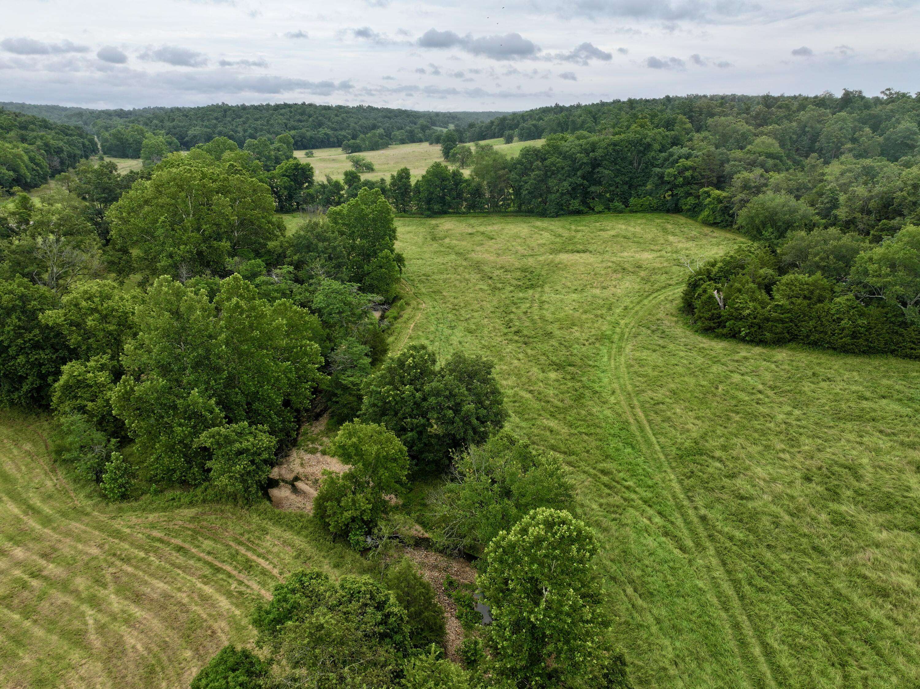 000 County Road 309, Van Buren, MO 63965
