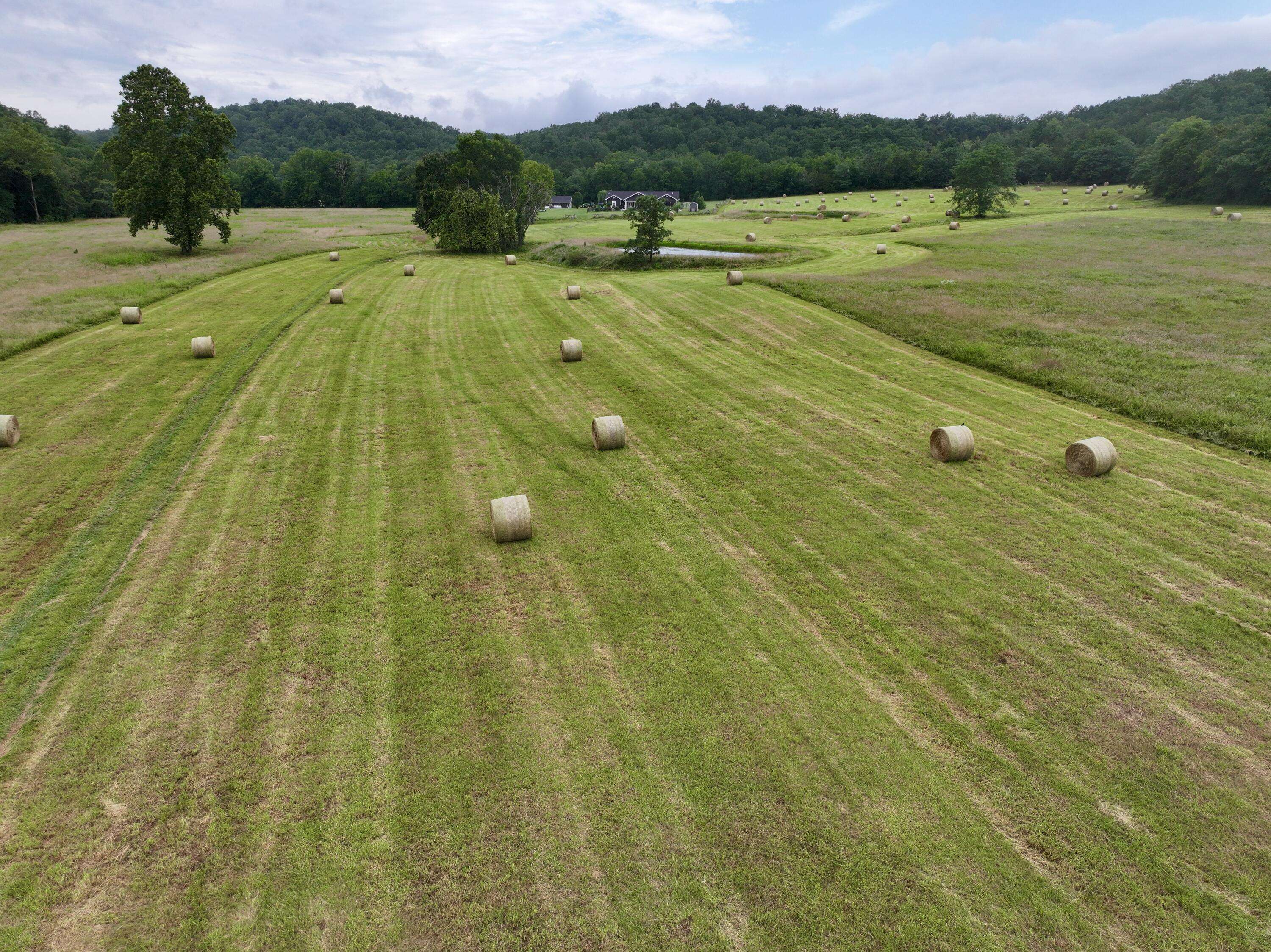 000 County Road 309, Van Buren, MO 63965