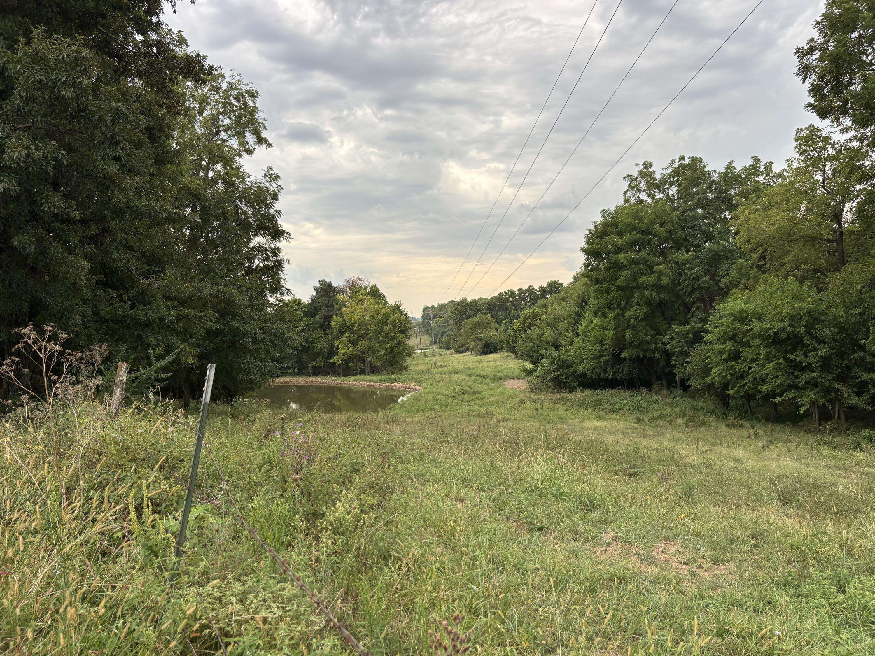 O E 540th RD, Morrisville, MO 65710
