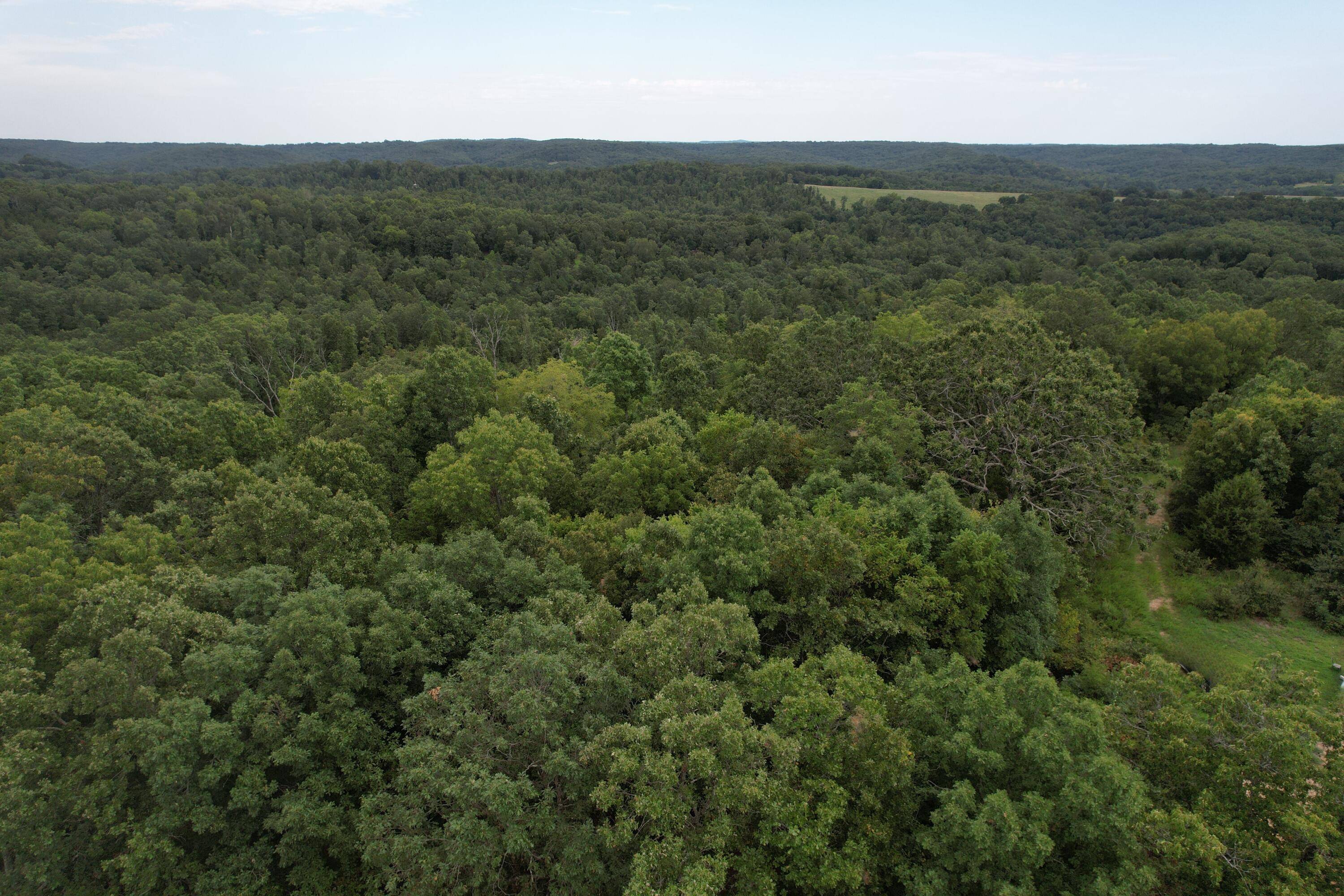 000 County Road 76-126, Ava, MO 65608