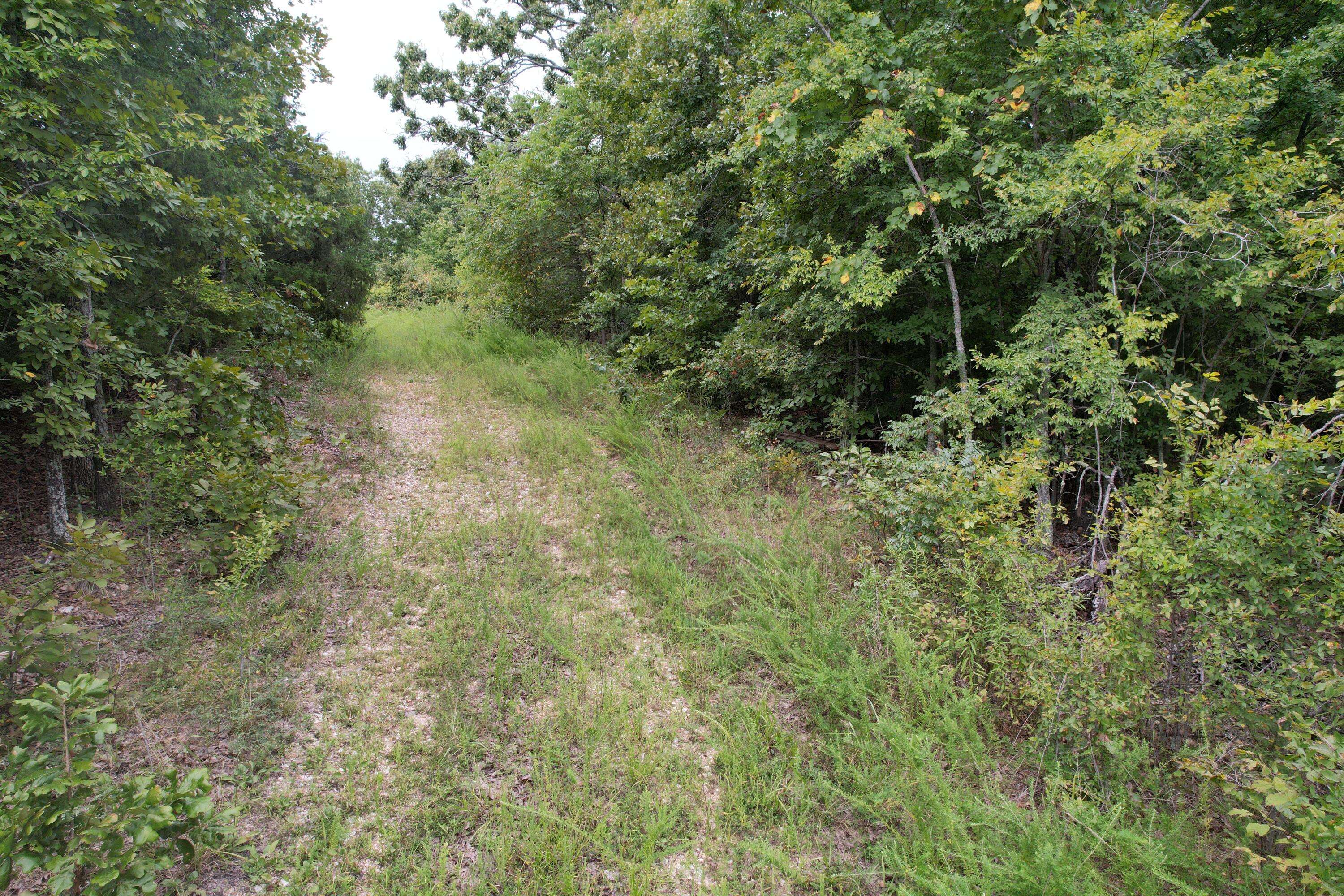 000 County Road 76-126, Ava, MO 65608
