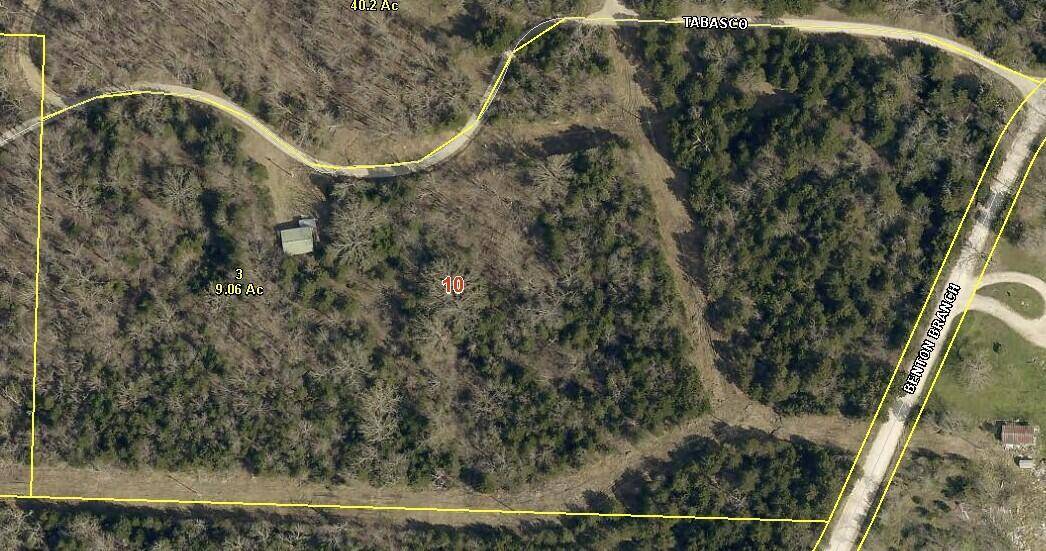 000 Tabasco TRL, Long Lane, MO 65590