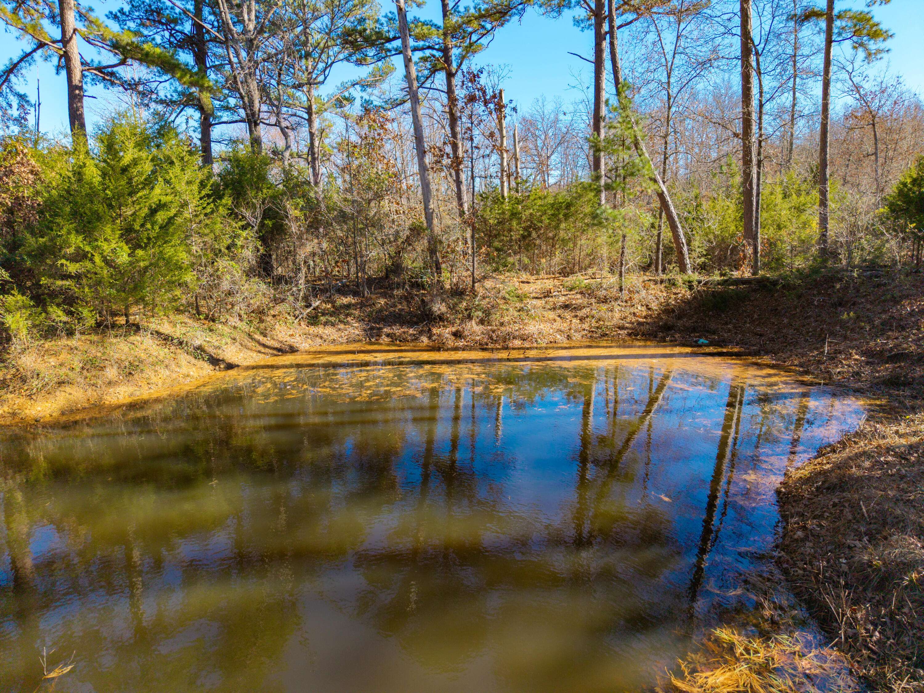 Lots 1&2 Malberg RD, Cabool, MO 65689