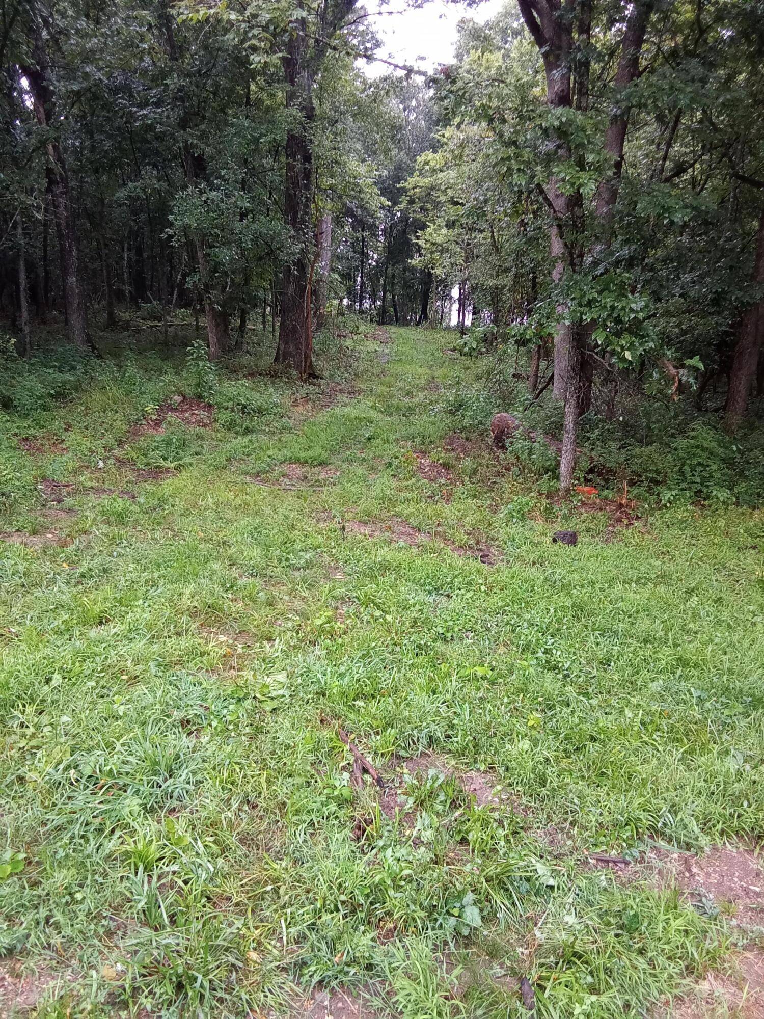 000 Fraker Road, Buffalo, MO 65622