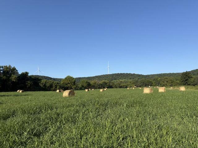 Tbd County Road 906, Green Forest, AR 72638