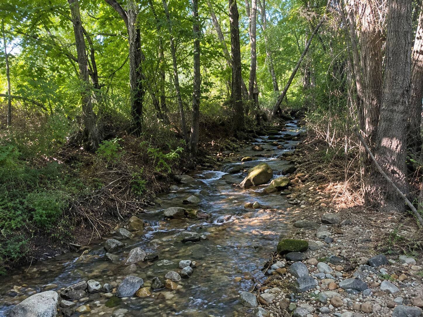 Tbd County Road 9068, Green Forest, AR 72638