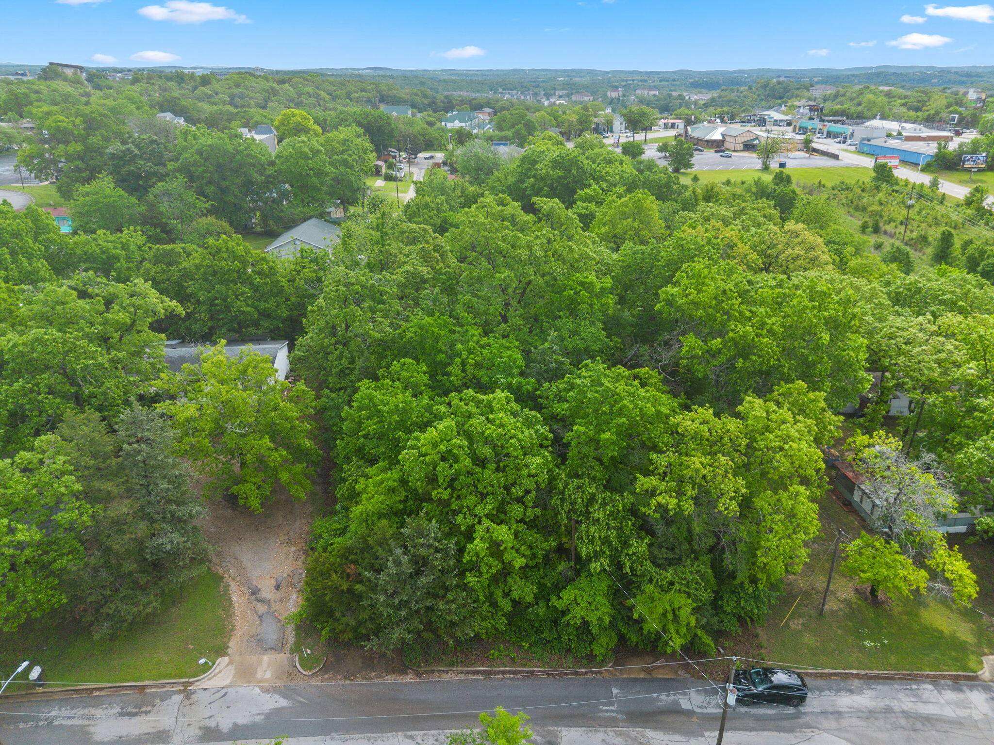 751 Aaron WAY, Branson, MO 65616