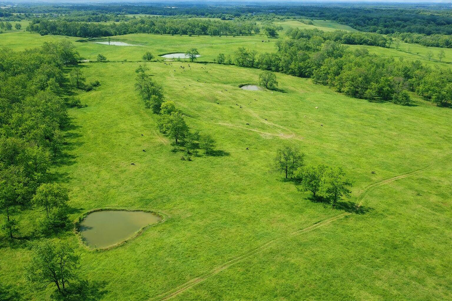 000 P HWY, Koshkonong, MO 65692
