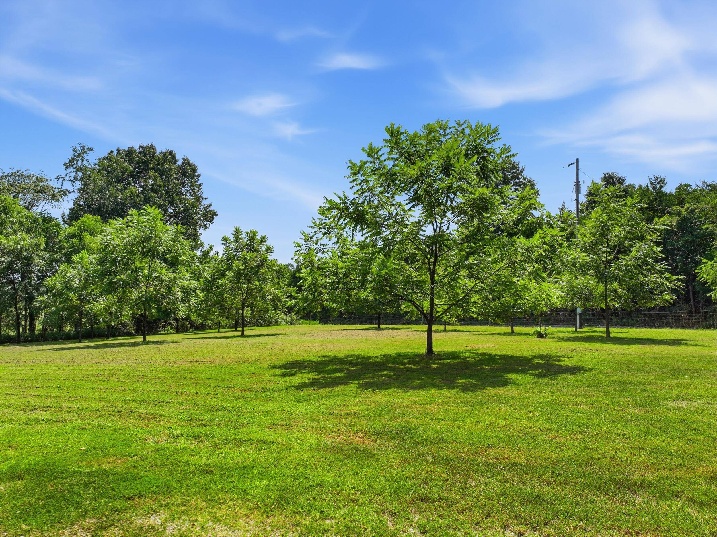 5150 County Road 2910, West Plains, MO 65775