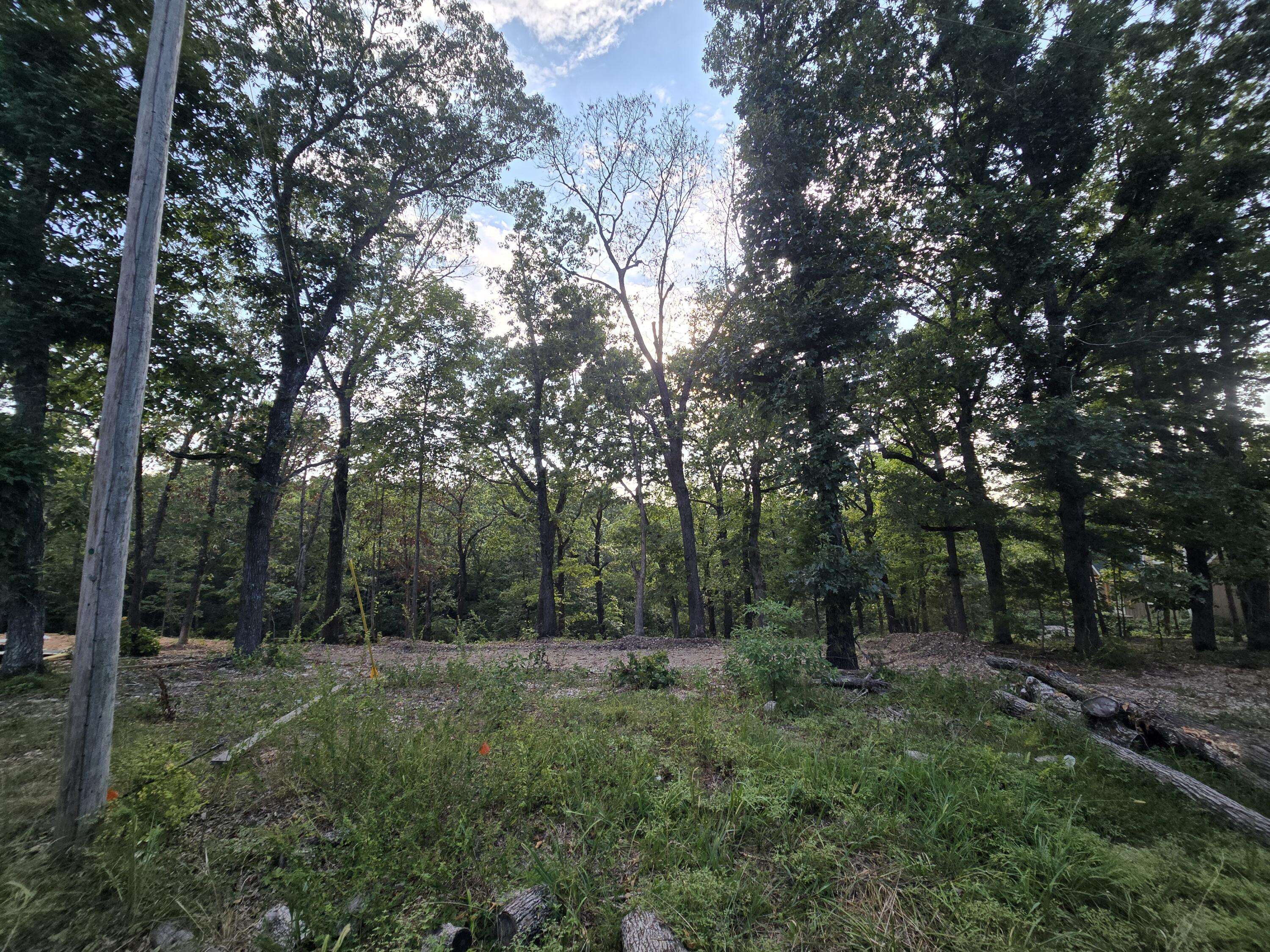 Lot 74, Jeffery Lane, Cape Fair, MO 65624
