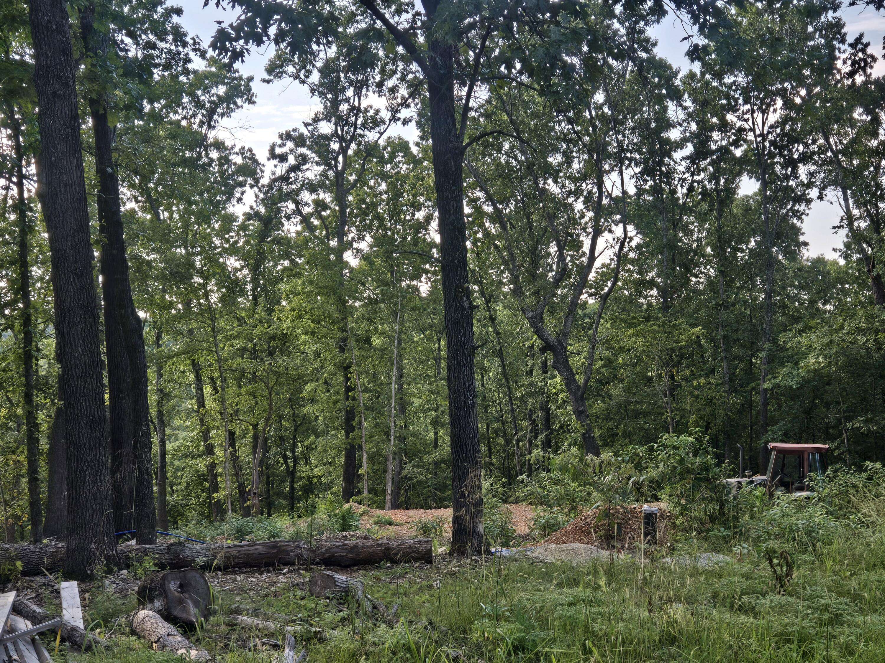 Lot 74, Jeffery Lane, Cape Fair, MO 65624