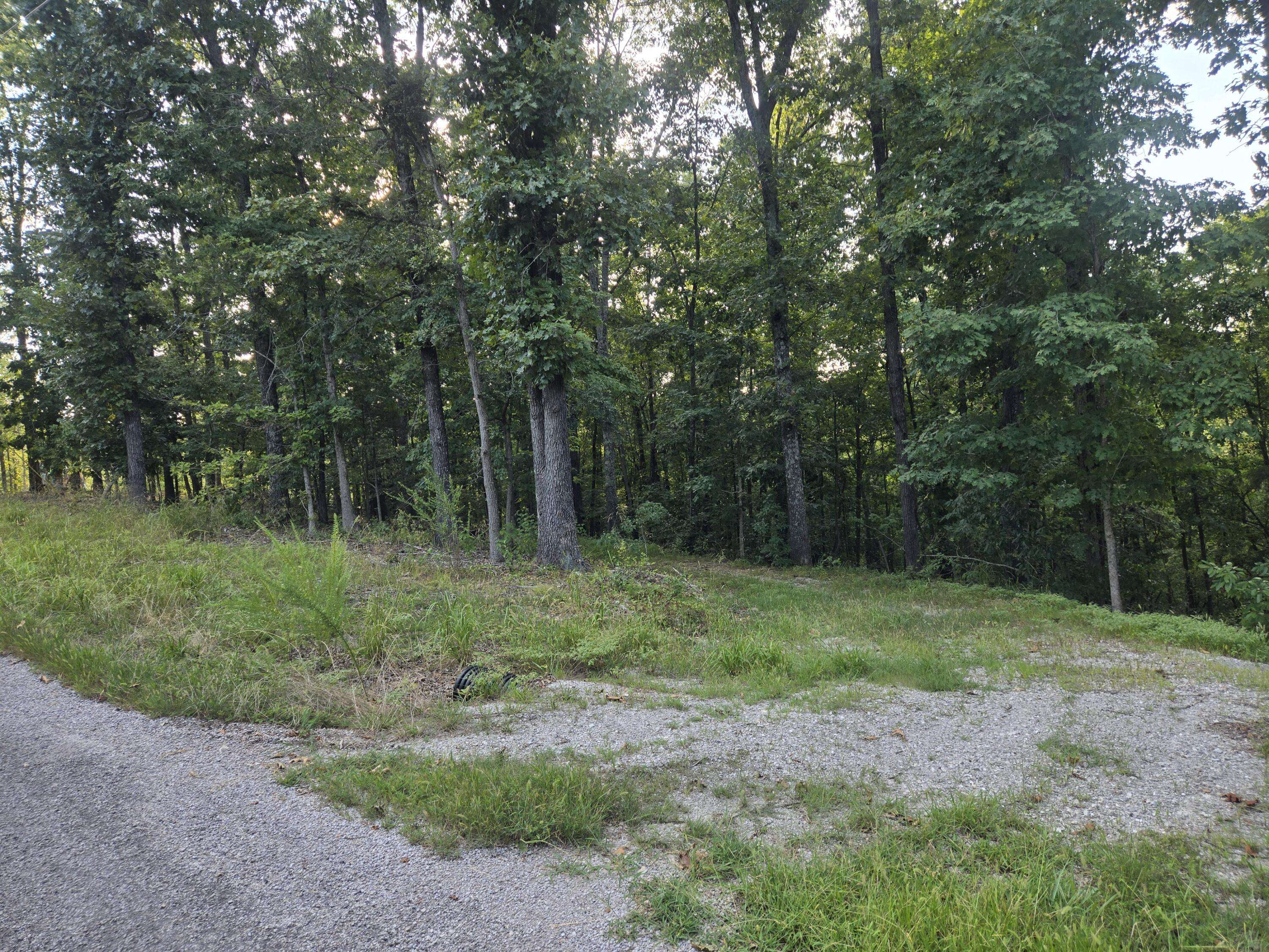 Lot 75, Jeffery Lane, Cape Fair, MO 65624