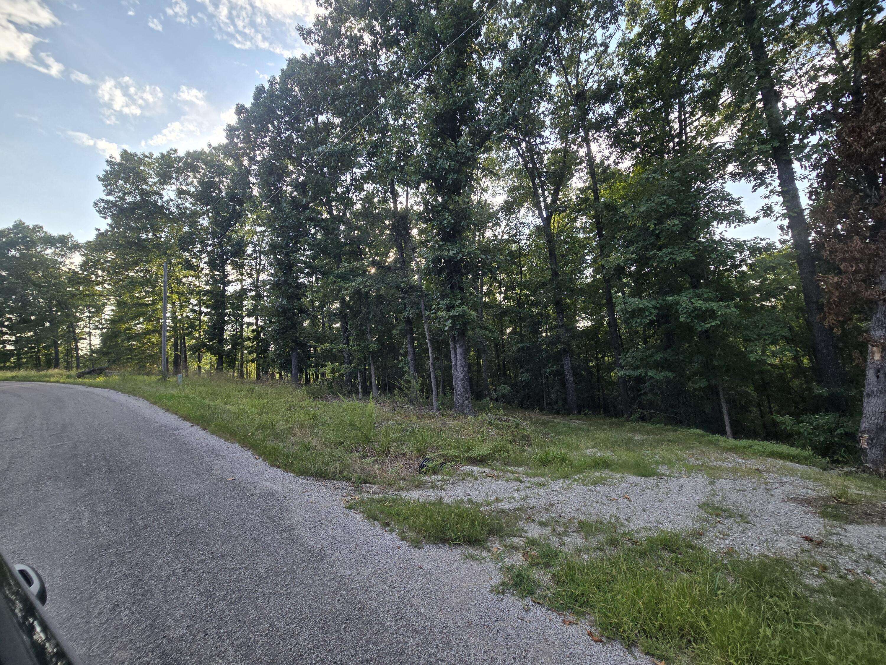 Lot 75, Jeffery Lane, Cape Fair, MO 65624