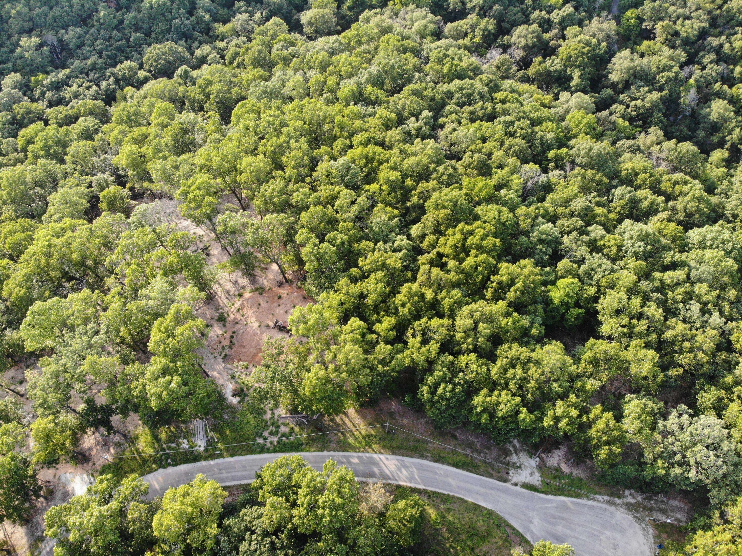 Lot 75, Jeffery Lane, Cape Fair, MO 65624