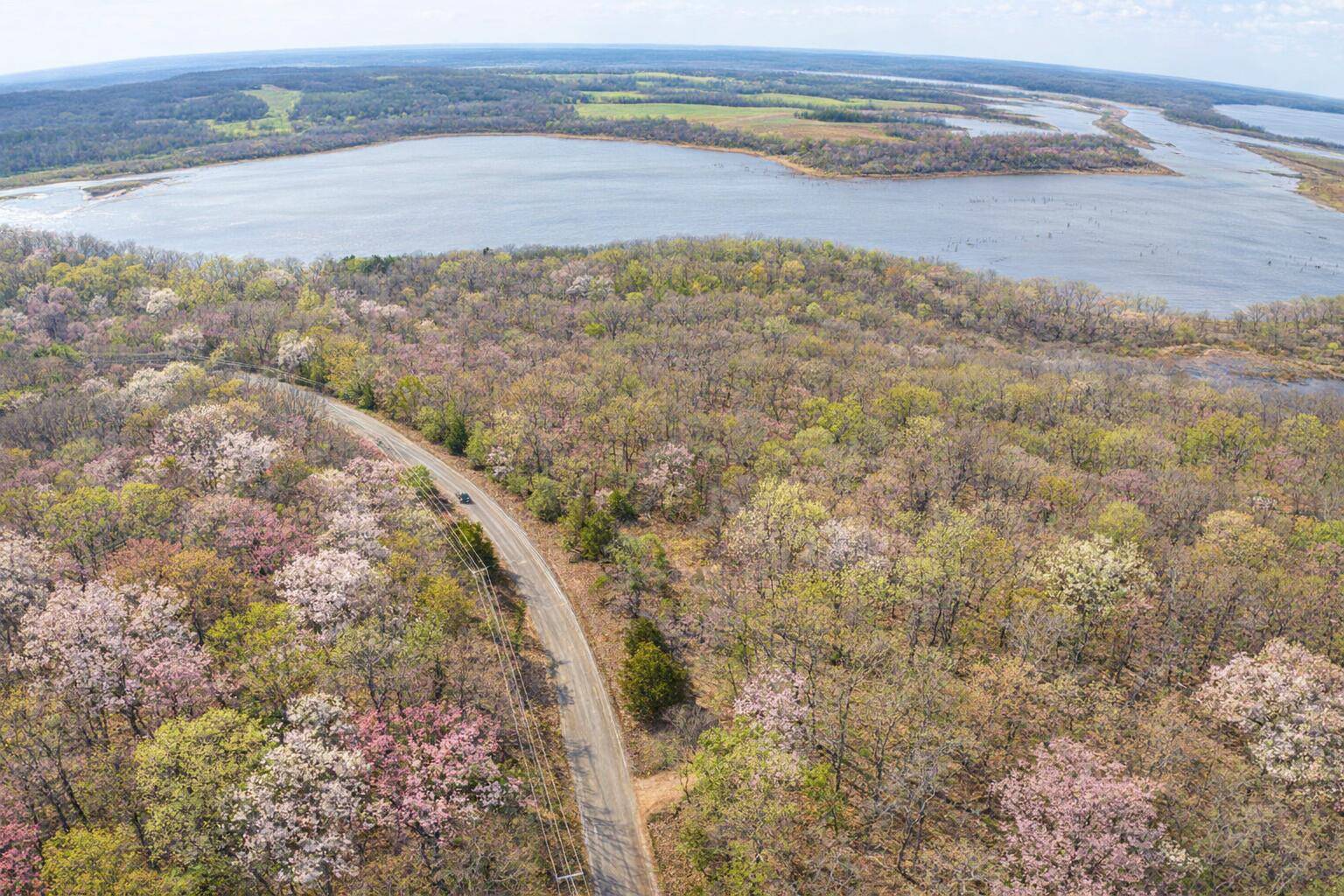 3925 NE 1075 Private RD, Osceola, MO 64776