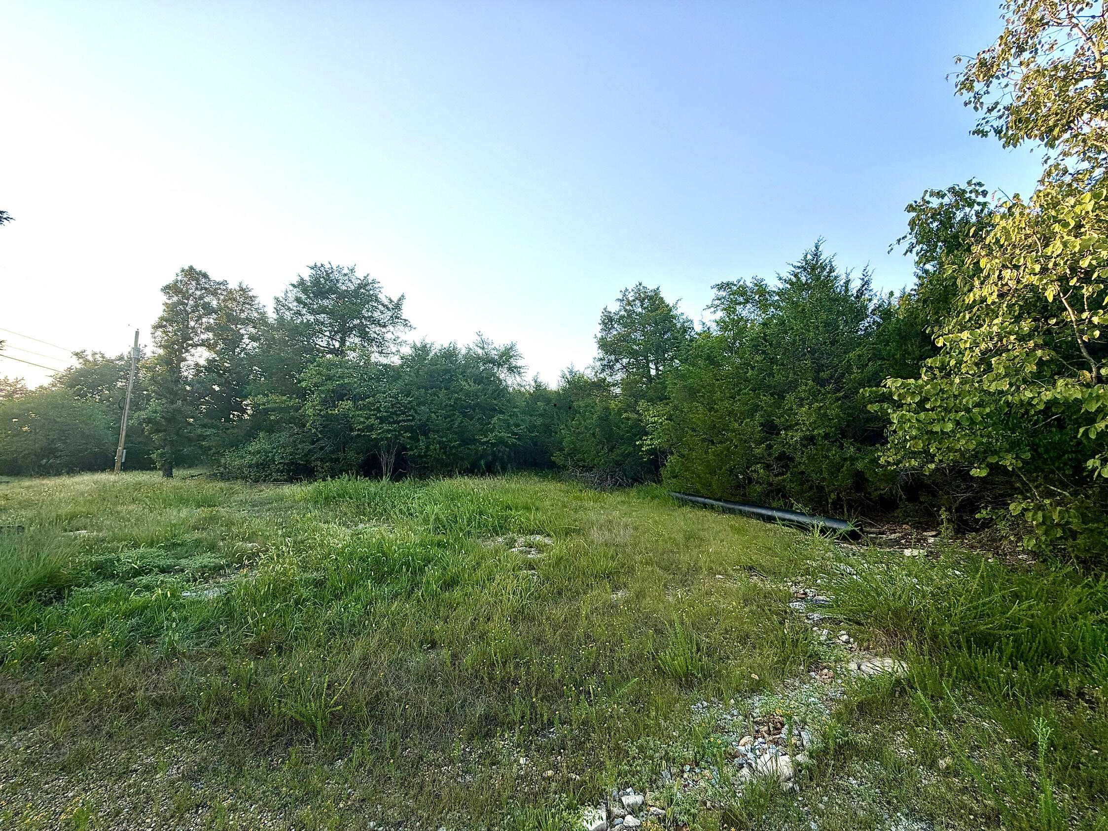 170 Deadend DR, Cedarcreek, MO 65627