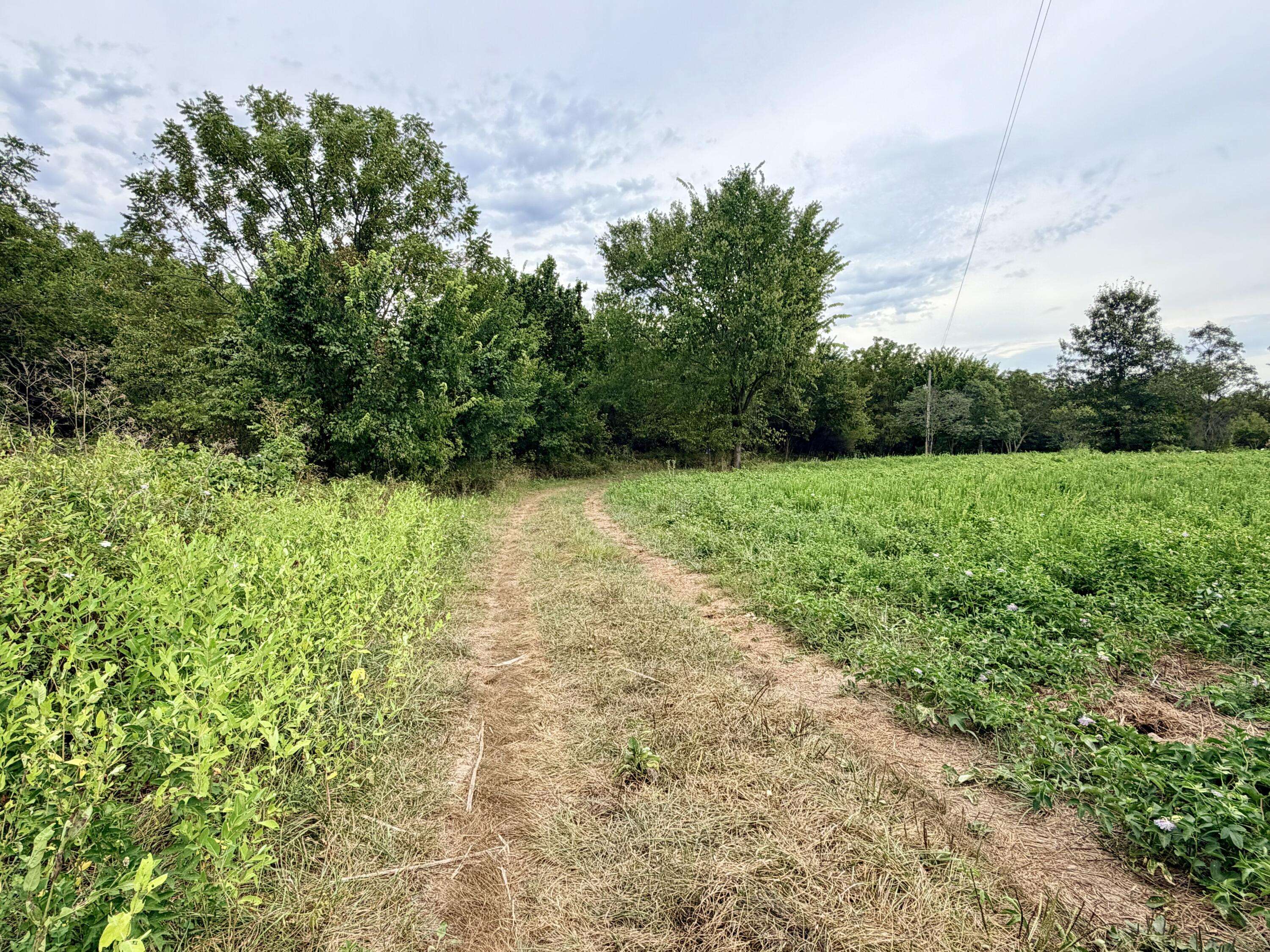379 Fabuzi LN, Galena, MO 65656