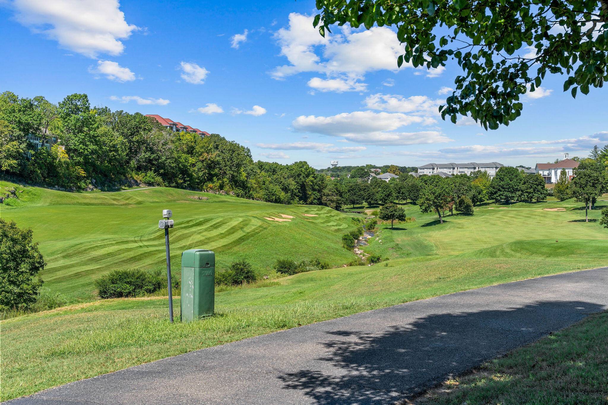 351 S Wildwood DR #2, Branson, MO 65616