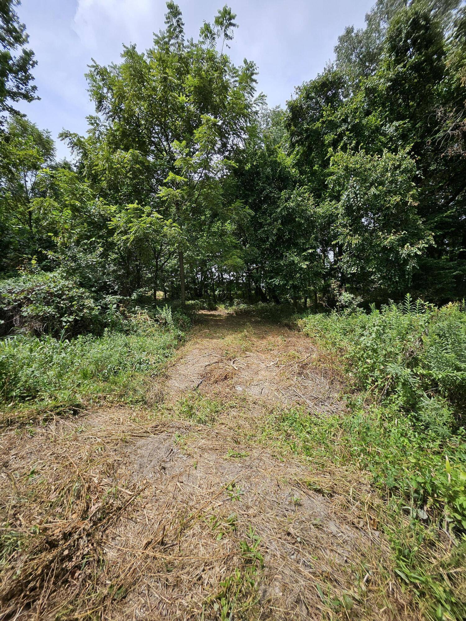 000 Settlers Trail RD, Marshfield, MO 65706