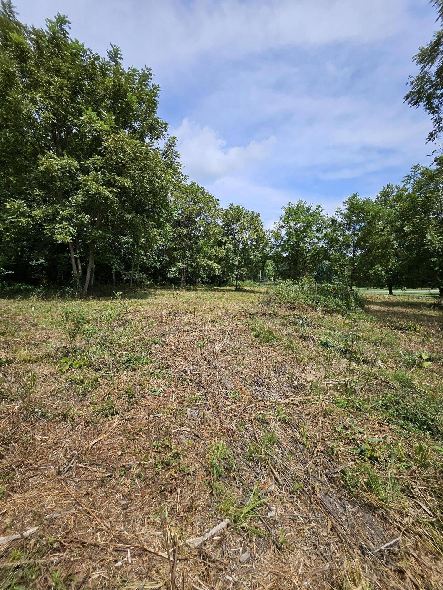 000 Settlers Trail RD, Marshfield, MO 65706