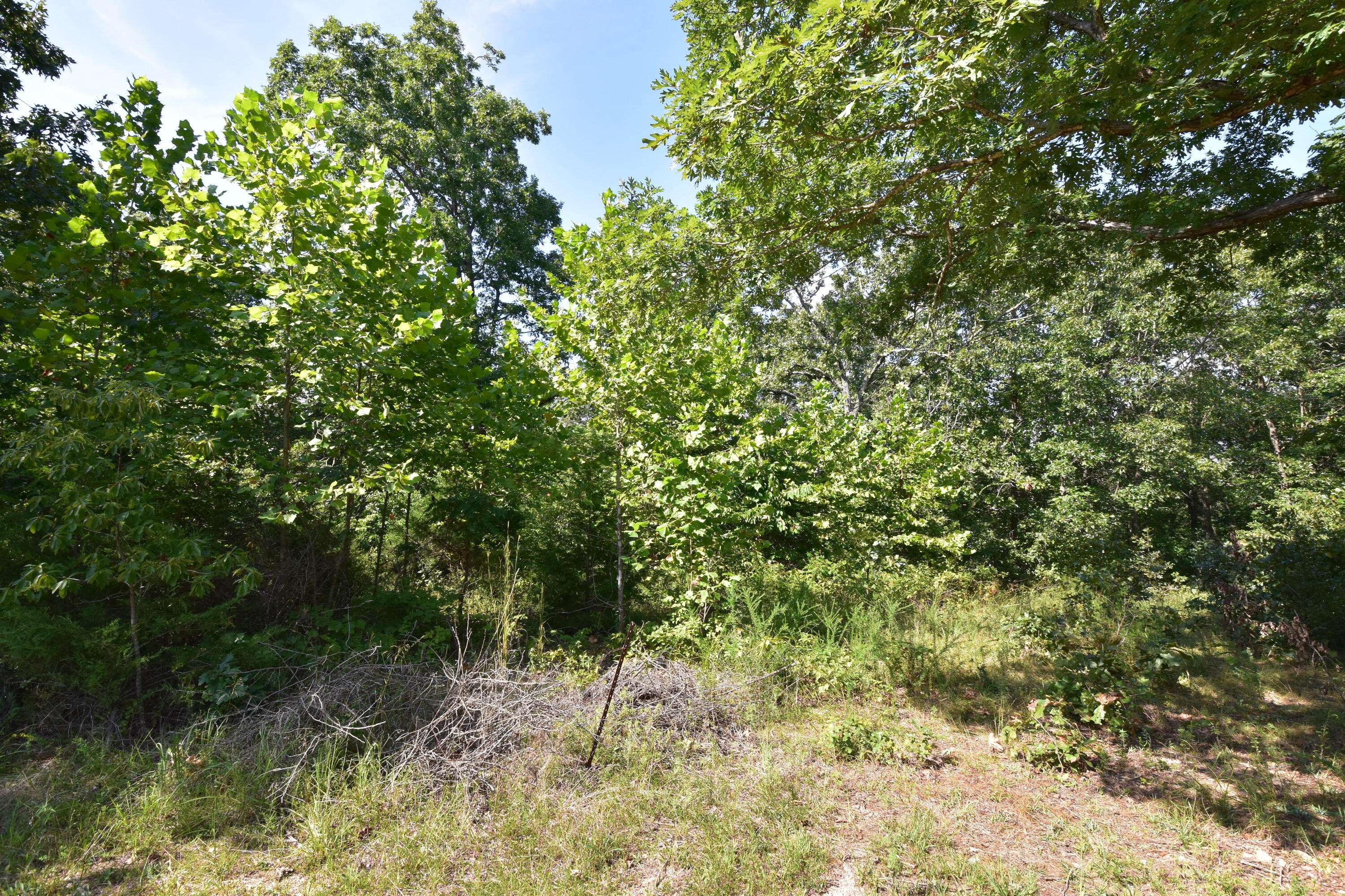 000 Deckard RD, Fordland, MO 65652
