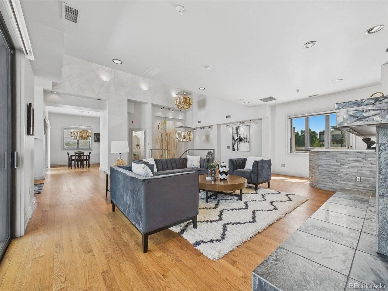 180 Cook #509, Denver, CO 80206