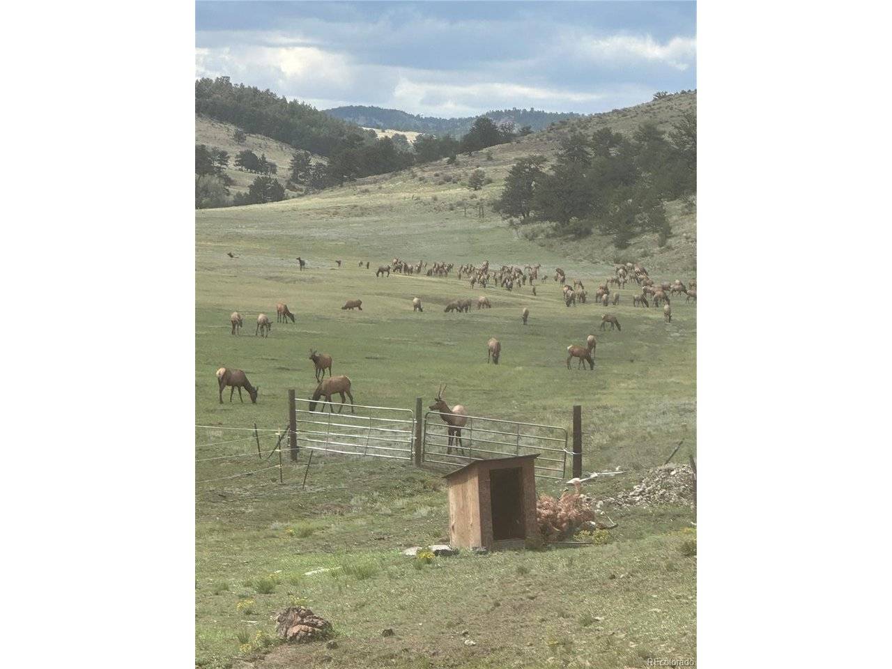 99 Peak, Guffey, CO 80820