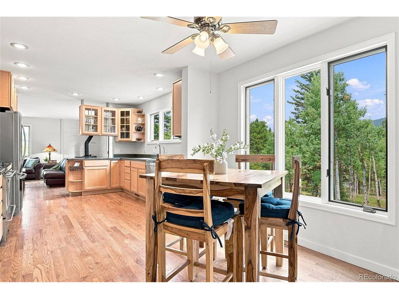 25457 Snyder, Conifer, CO 80433