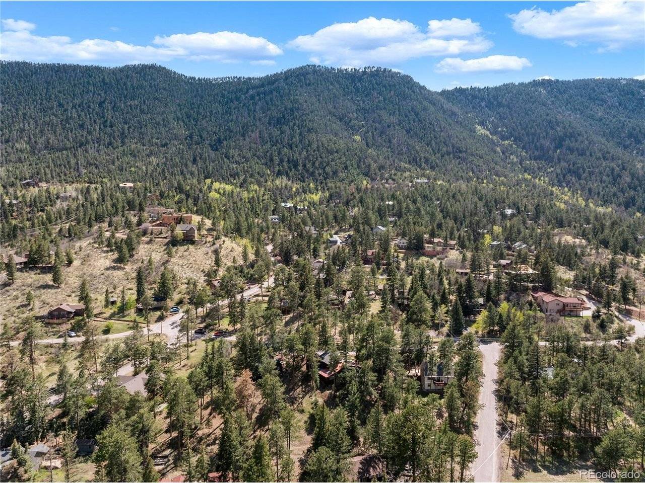 9120 Ute, Cascade, CO 80809
