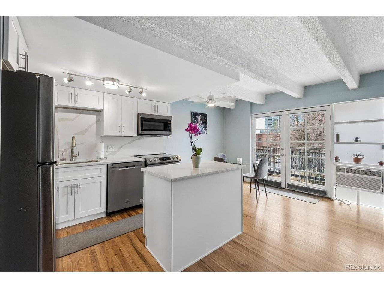 33 N Corona #406, Denver, CO 80218