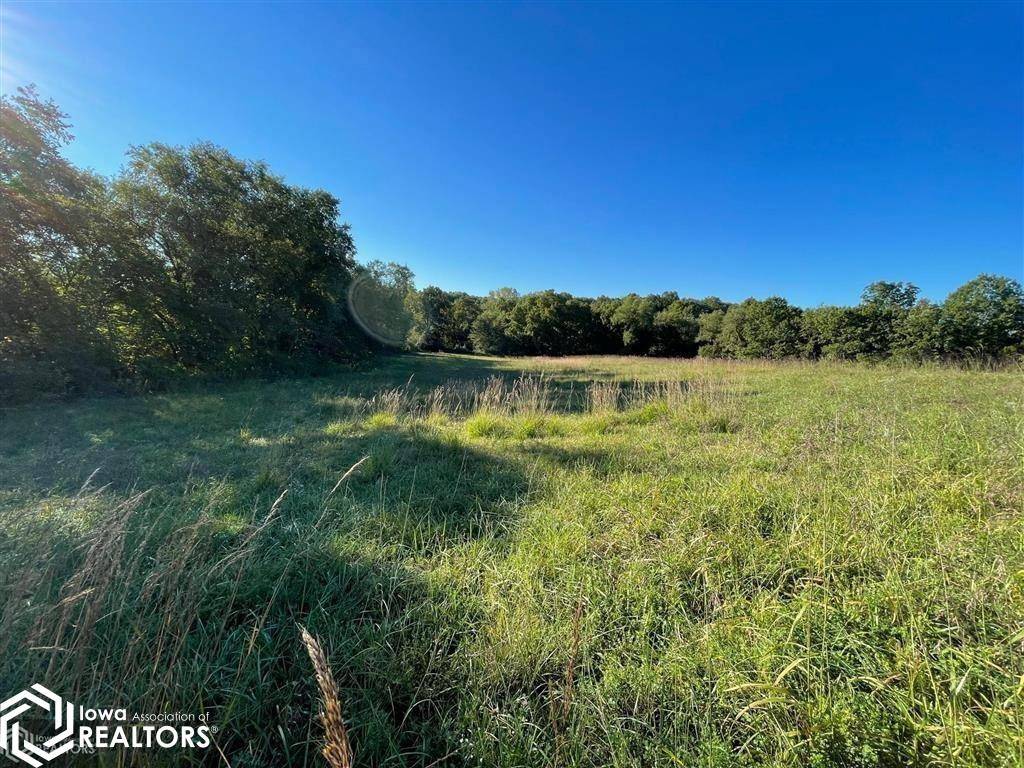 33 Acres 240th AVE, Centerville, IA 52544